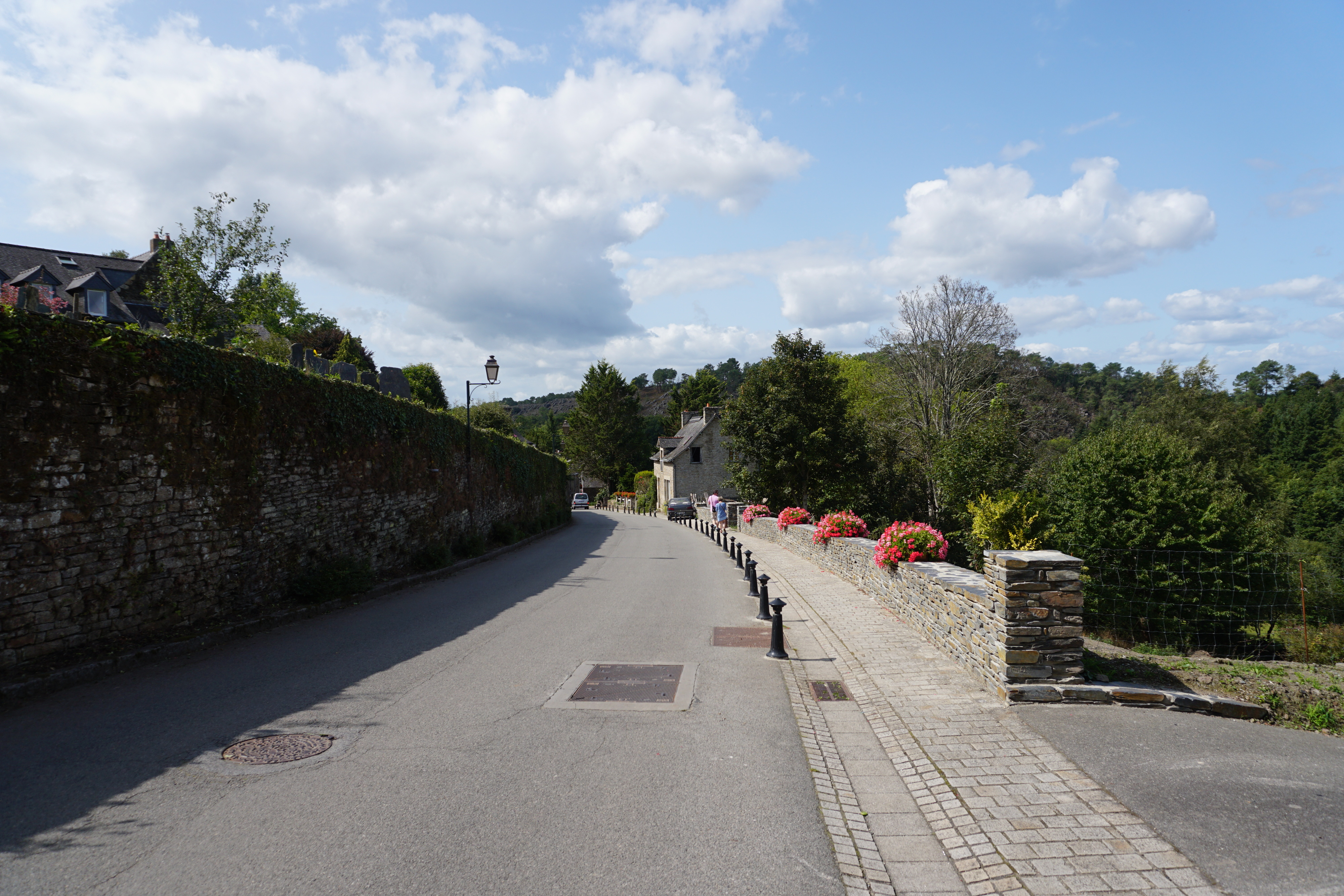 รูปถ่าย ฝรั่งเศส(France) รอชฟอร์-อ็อง-แตร์(Rochefort en terre) 2017-08 63