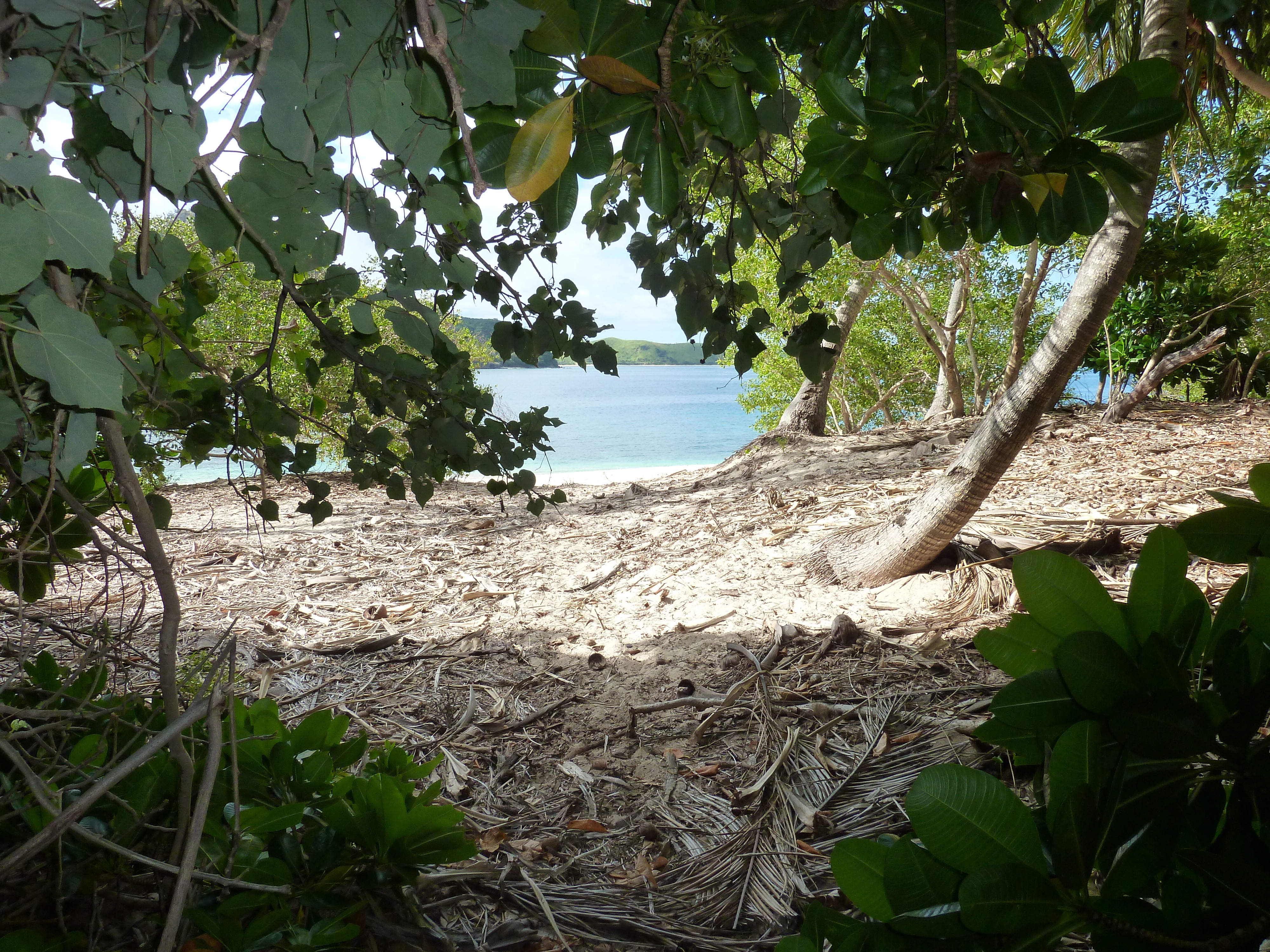 รูปถ่าย ฟิจิ(Fiji) 2010-05 26