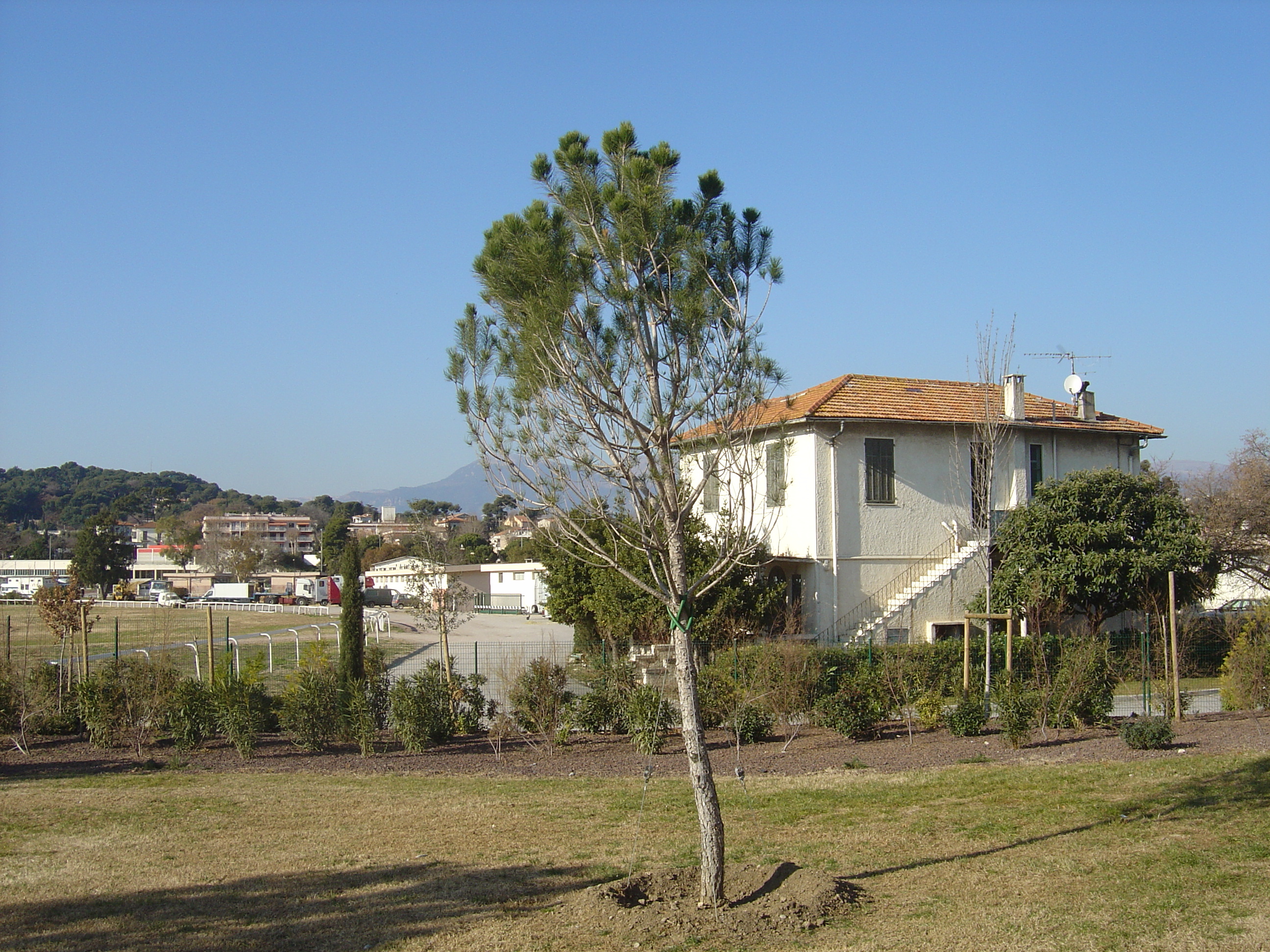 รูปถ่าย ฝรั่งเศส(France) คาญ-ซูร์-แมร์(Cagnes sur Mer) 2006-01 108