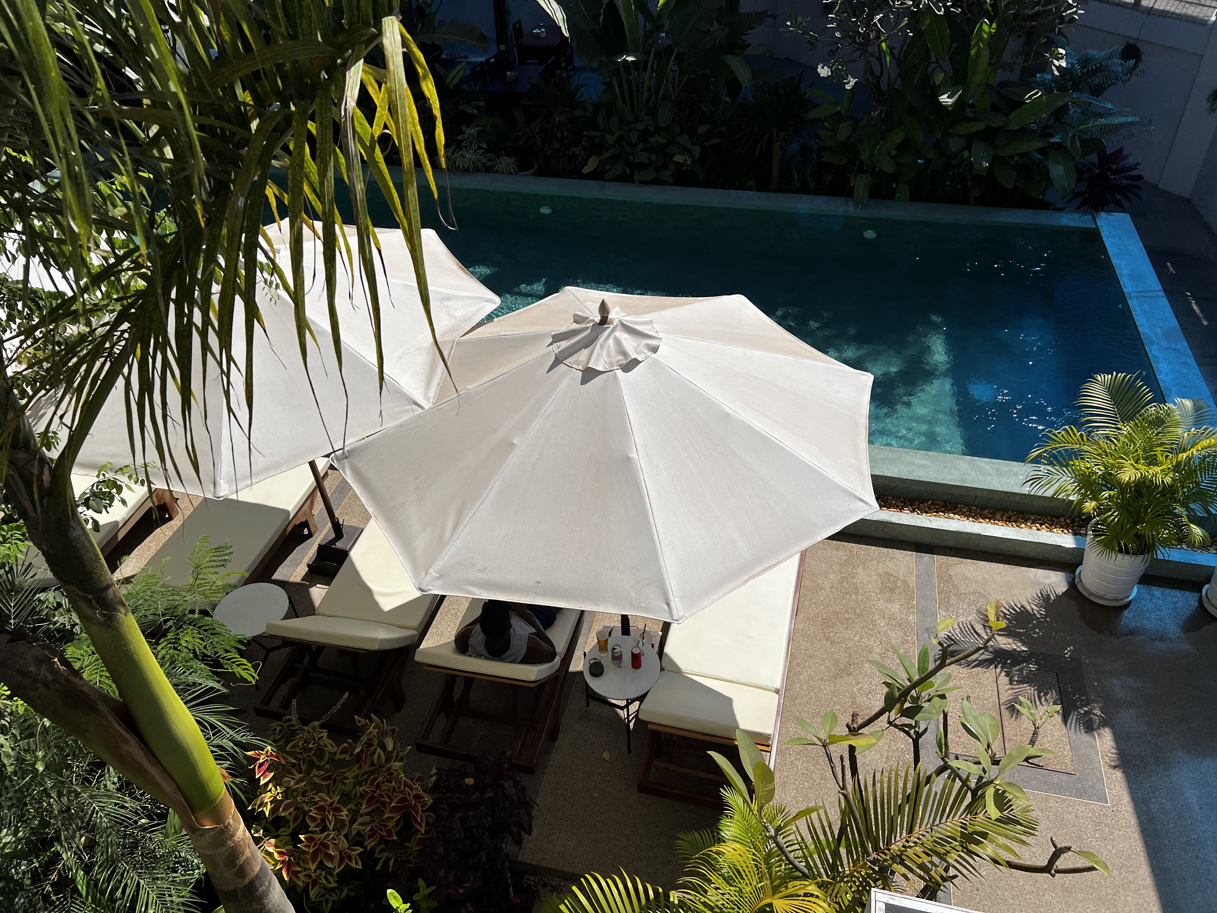 รูปถ่าย กัมพูชา(Cambodia) เสียมราฐ(Siem Reap) โรงแรมบูติกขแมร์เฮาส์(Khmer House Boutique Hotel) 2023-01 49