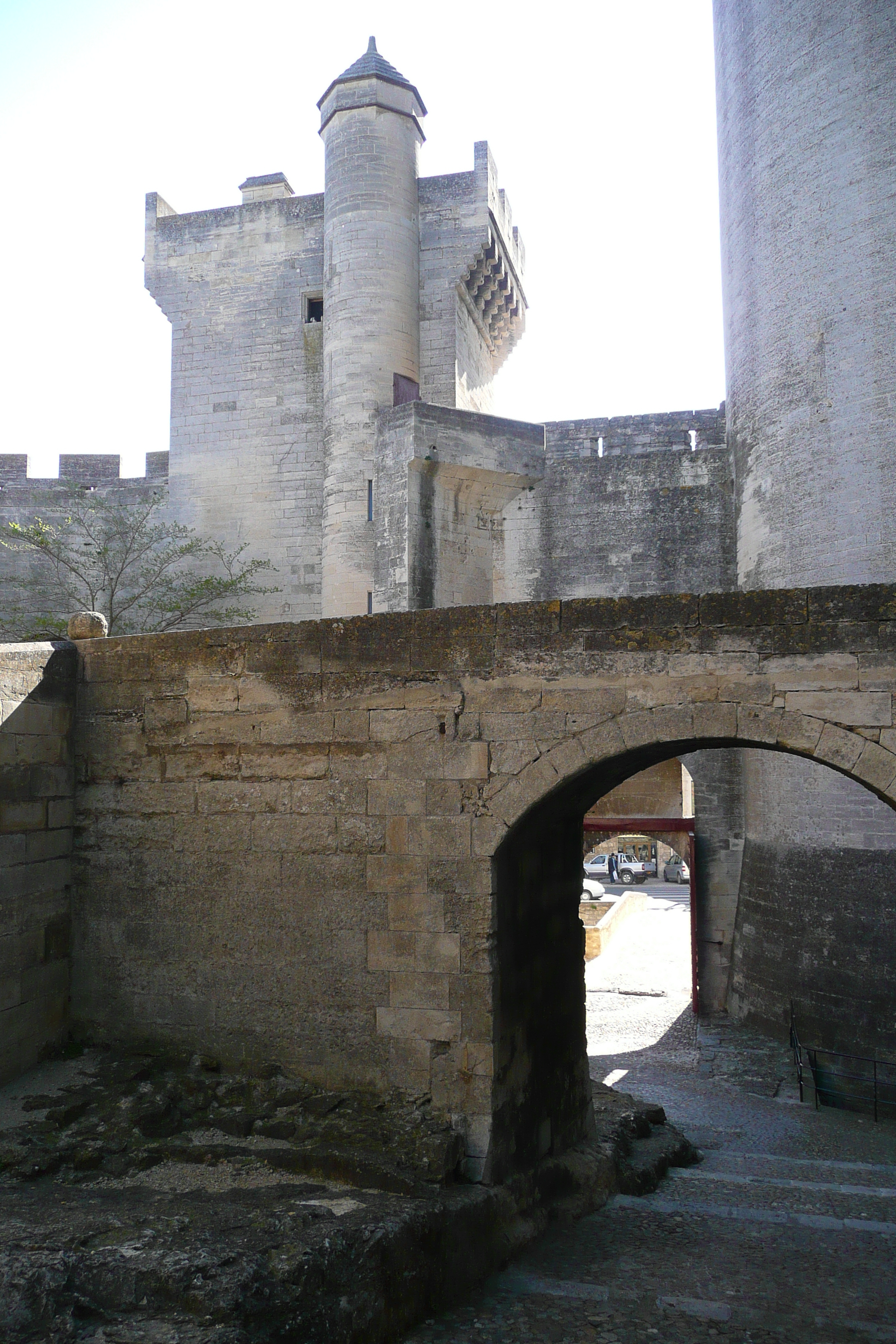 รูปถ่าย ฝรั่งเศส(France) ตาราสกง(Tarascon) ปราสาทตาราสกง(Tarascon Castle) 2008-04 183