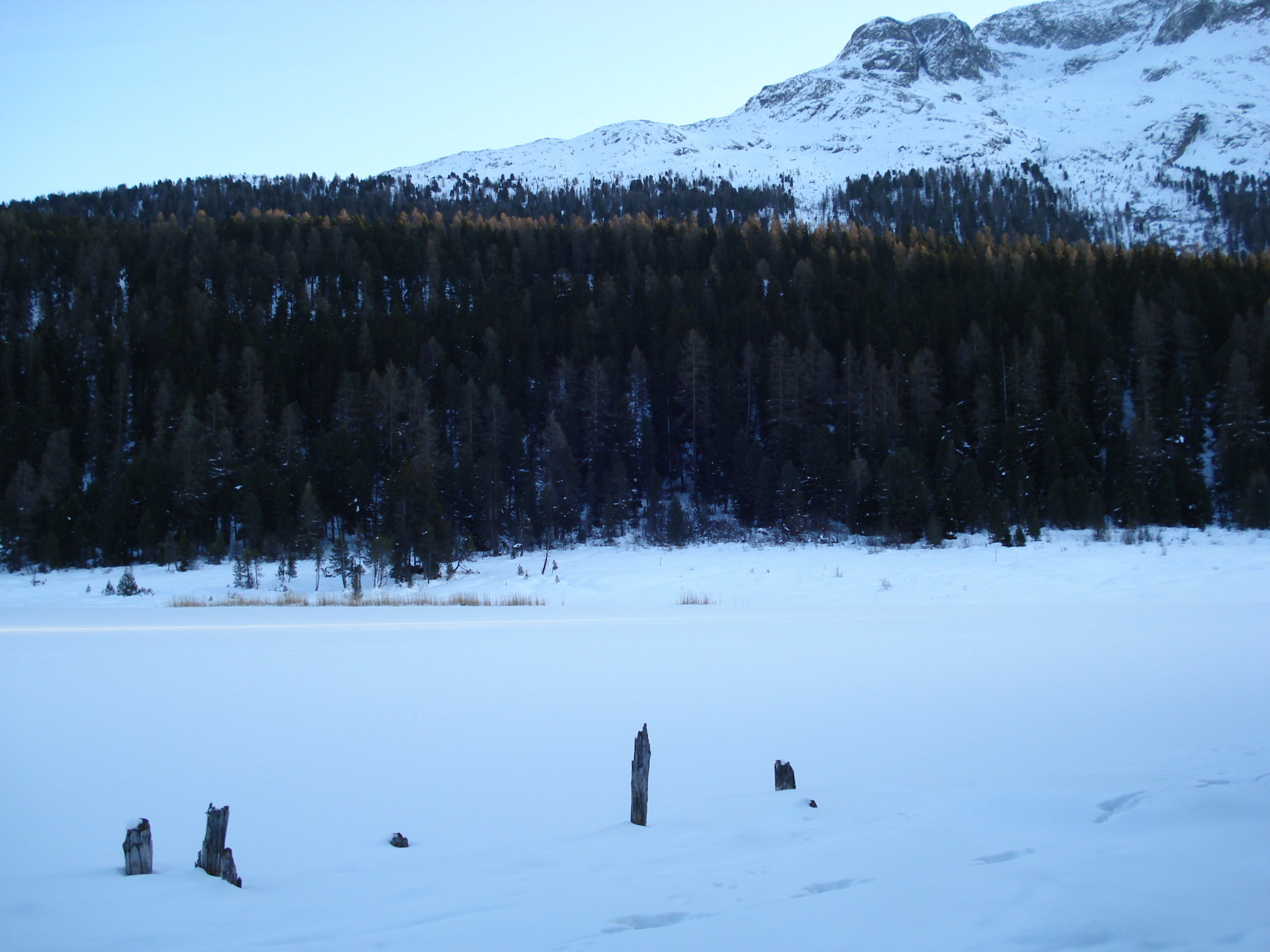 รูปถ่าย สวิสเซอร์แลนด์(Switzerland) เซนต์มอริตซ์ ชลาริญญา(St Moritz Schlarigna) 2007-01 70