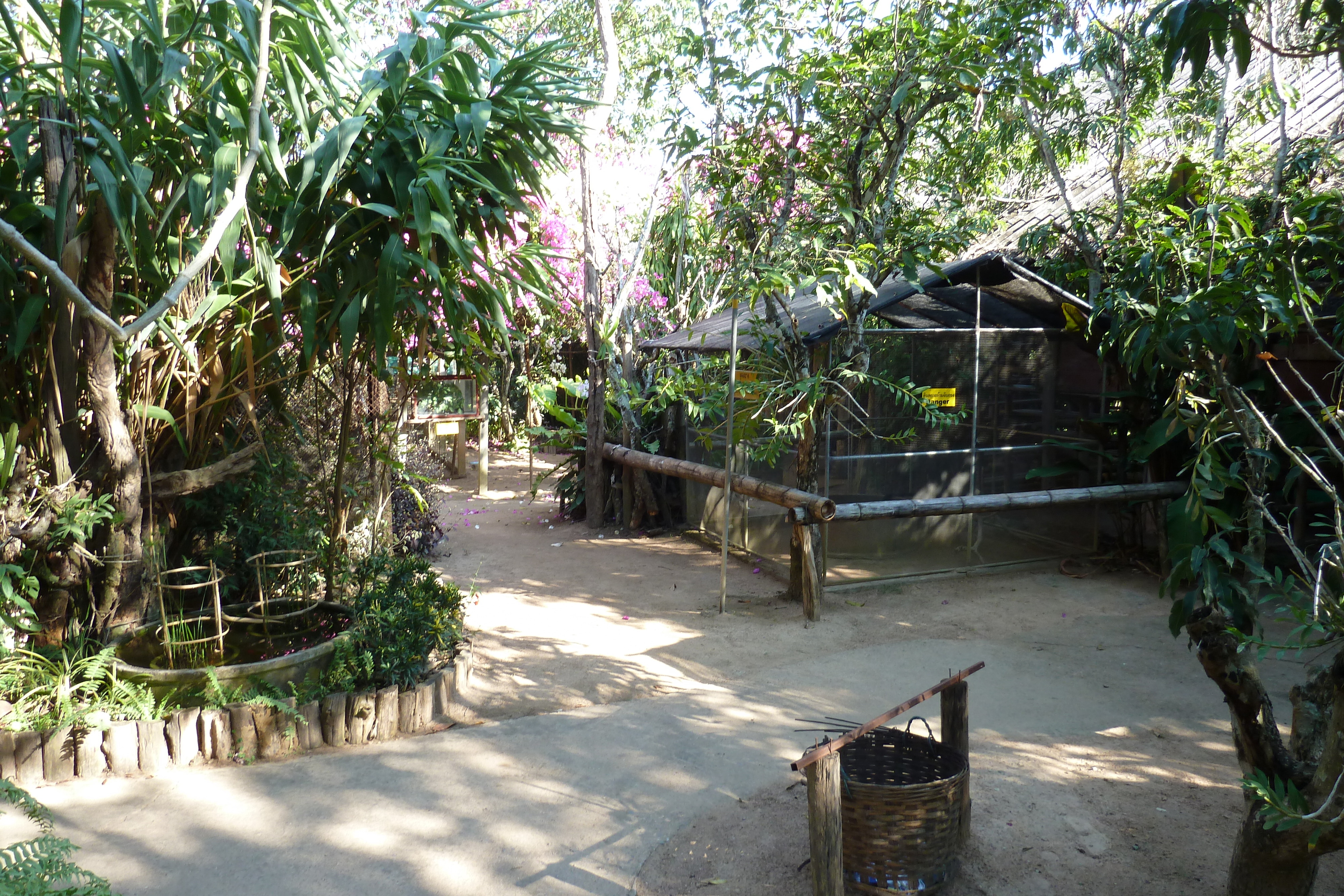 รูปถ่าย ไทย(Thailand) เชียงใหม่(Chiang Mai) ฟาร์มงูแม่สา(Mae Sa Snake Farm) 2010-12 7