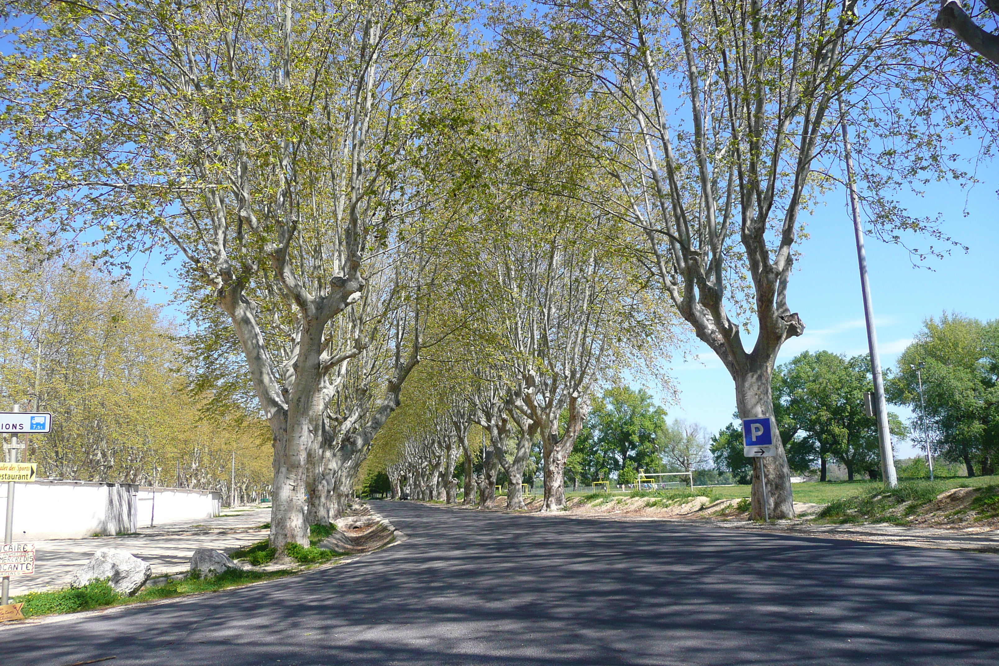 รูปถ่าย ฝรั่งเศส(France) โบแกร์(Beaucaire) 2008-04 28