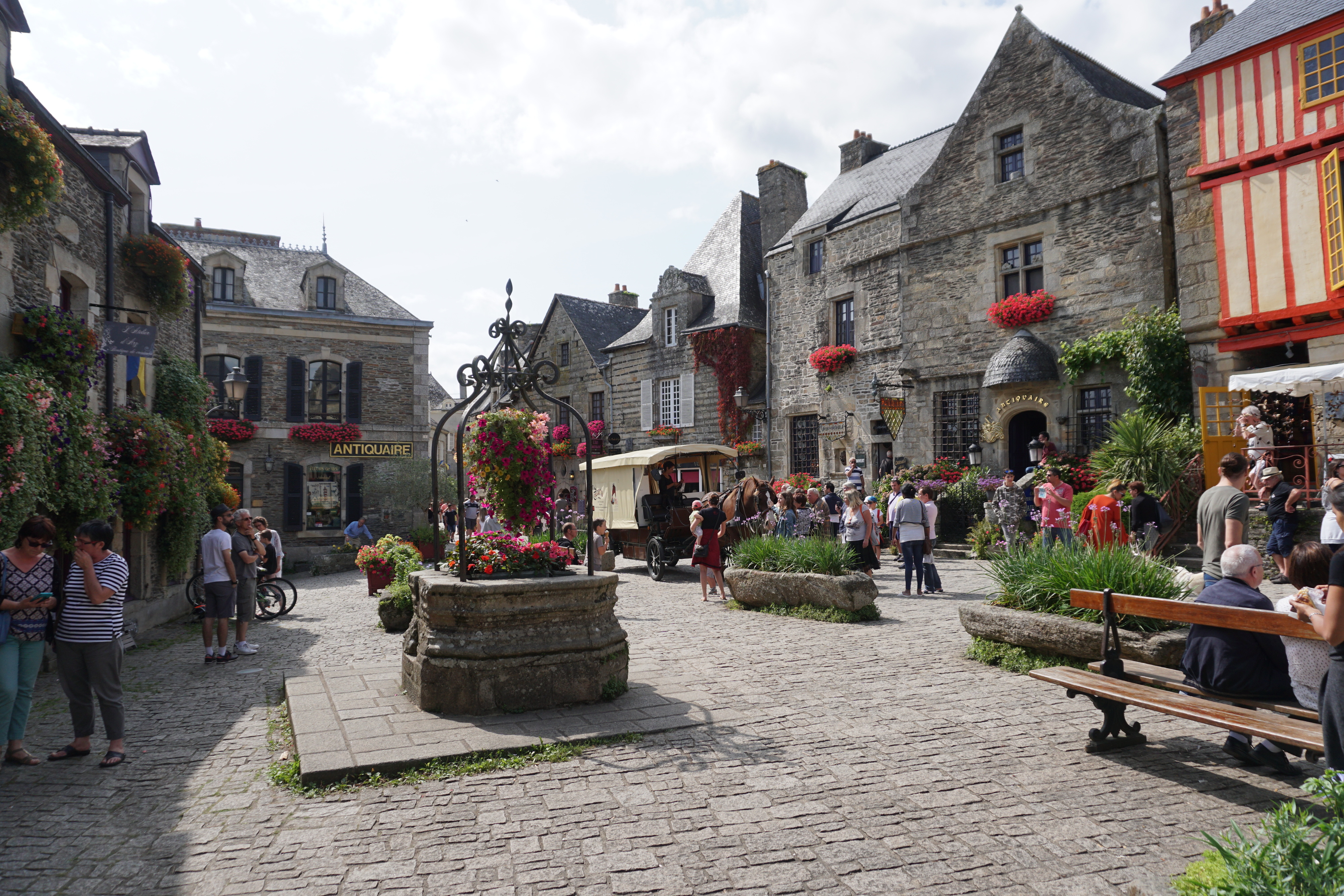 รูปถ่าย ฝรั่งเศส(France) รอชฟอร์-อ็อง-แตร์(Rochefort en terre) 2017-08 42