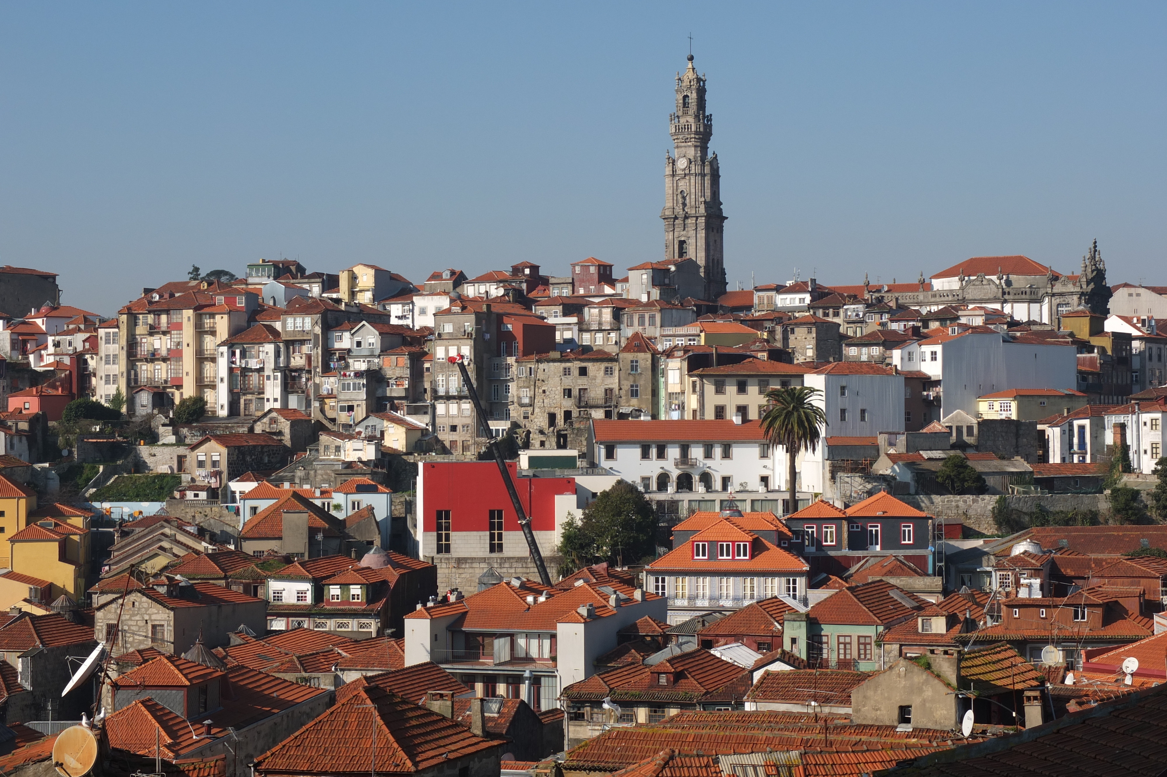 รูปถ่าย โปรตุเกส(Portugal) ปอร์โต(Porto) 2013-01 288