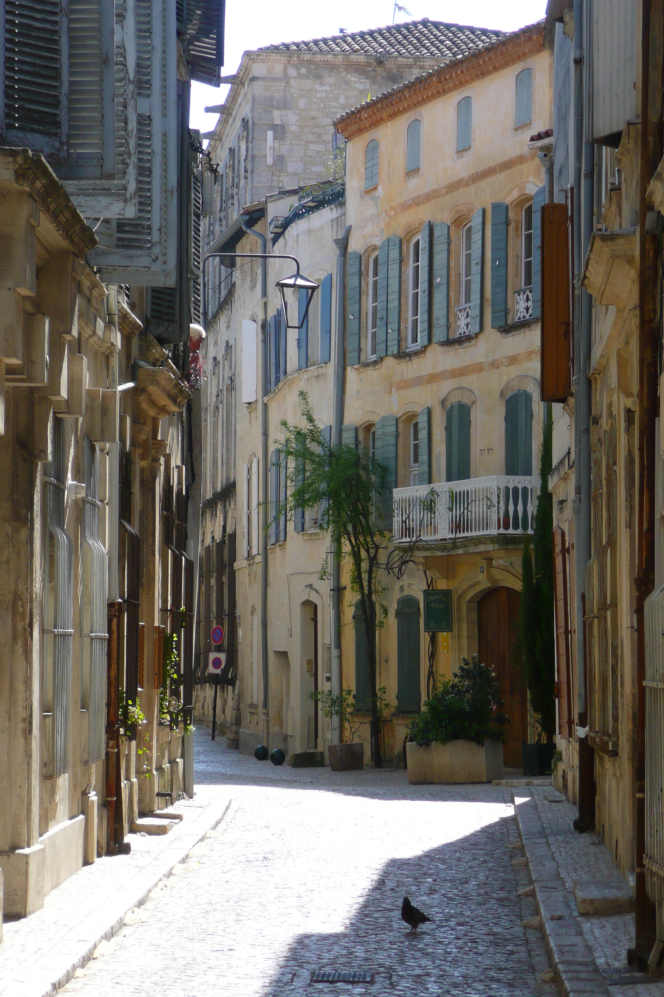 รูปถ่าย ฝรั่งเศส(France) ตาราสกง(Tarascon) 2008-04 37