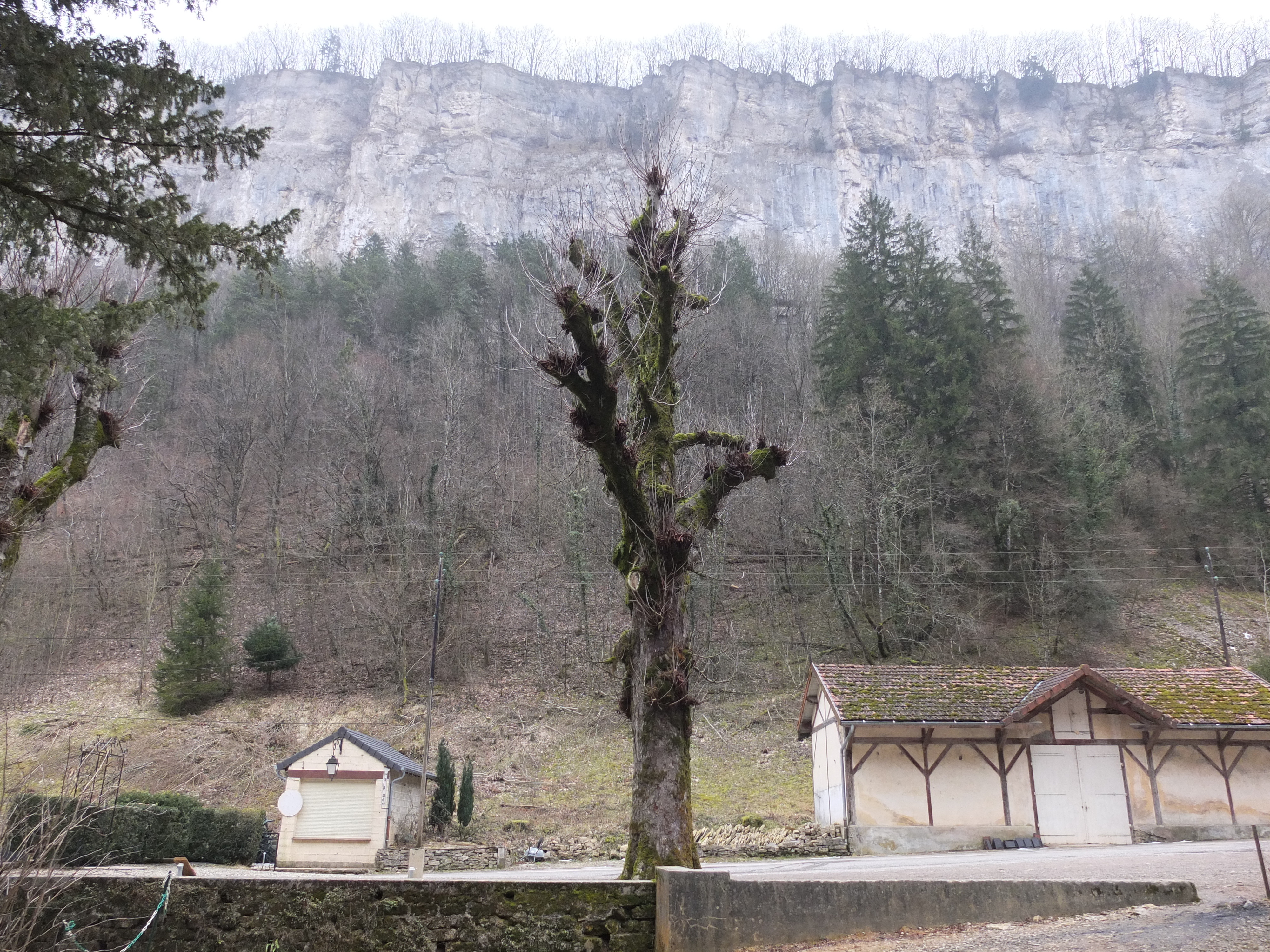 รูปถ่าย ฝรั่งเศส(France) โบม-เล-เมอซีเยอ(Baume les Messieurs) 2012-02 87