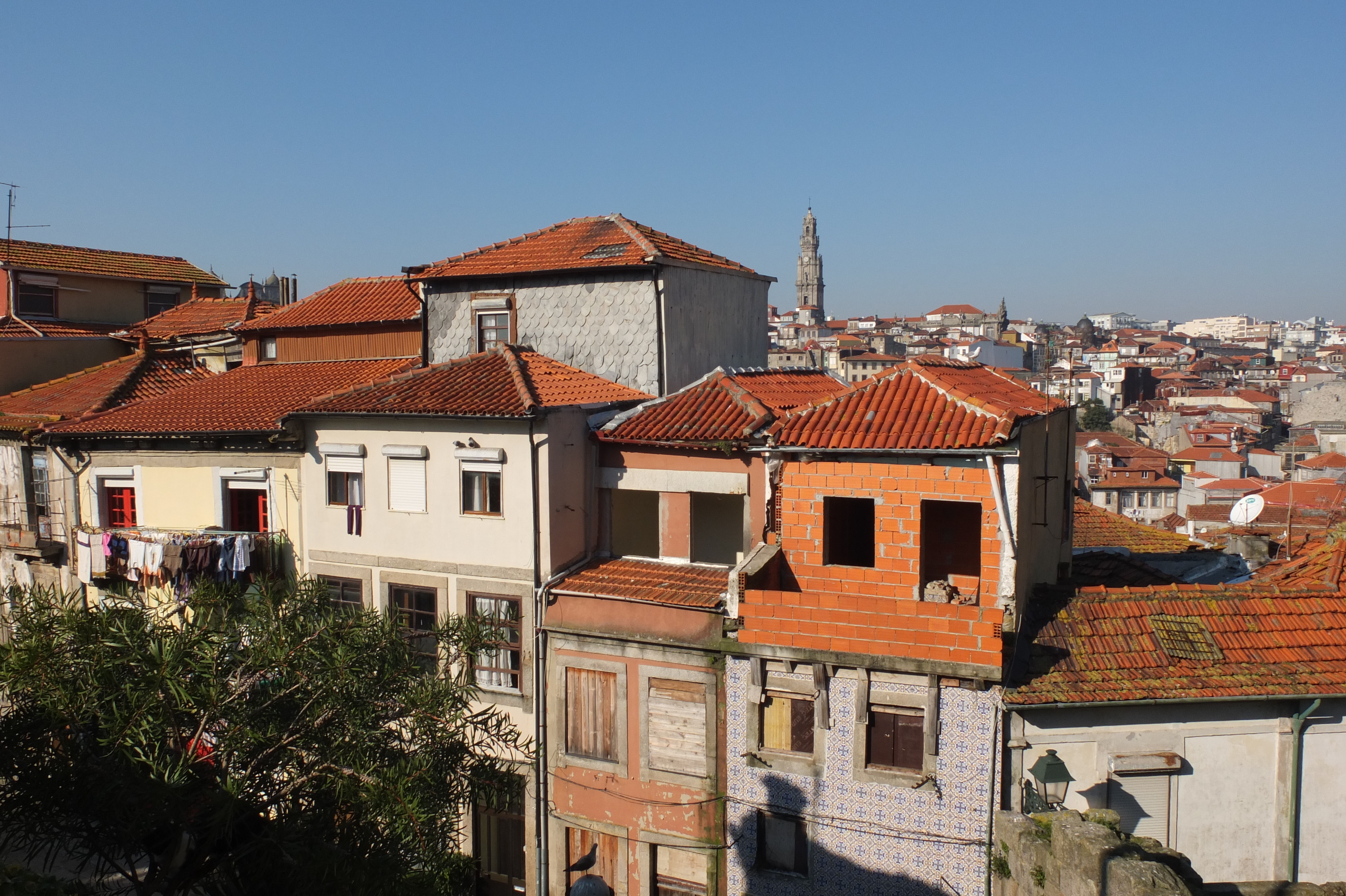 รูปถ่าย โปรตุเกส(Portugal) ปอร์โต(Porto) 2013-01 253