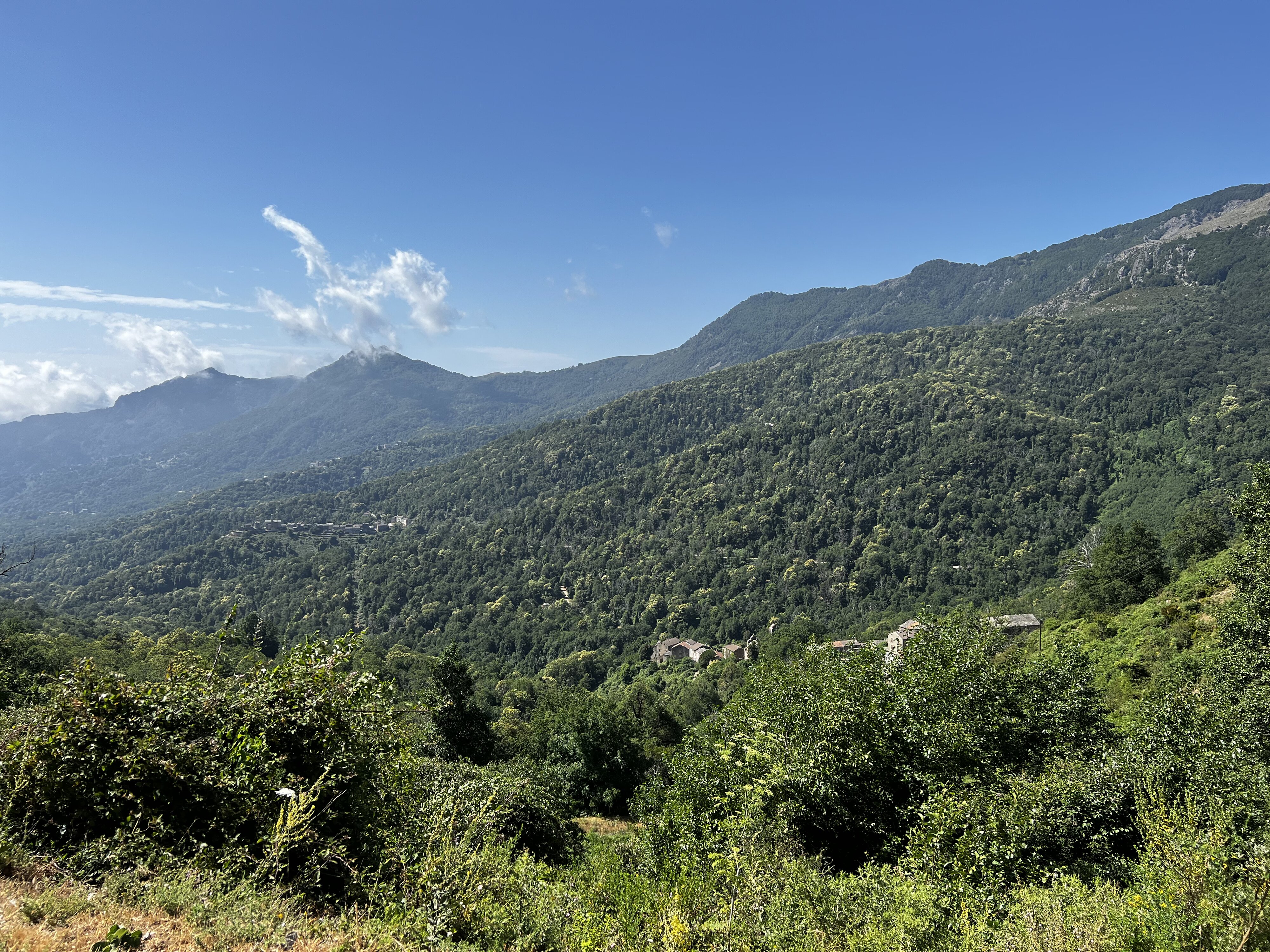 รูปถ่าย ฝรั่งเศส(France) คอร์สิคา(Corsica) ที่พักกัลเลรุชชู(Refuge de Callerucciu) 2022-06 53
