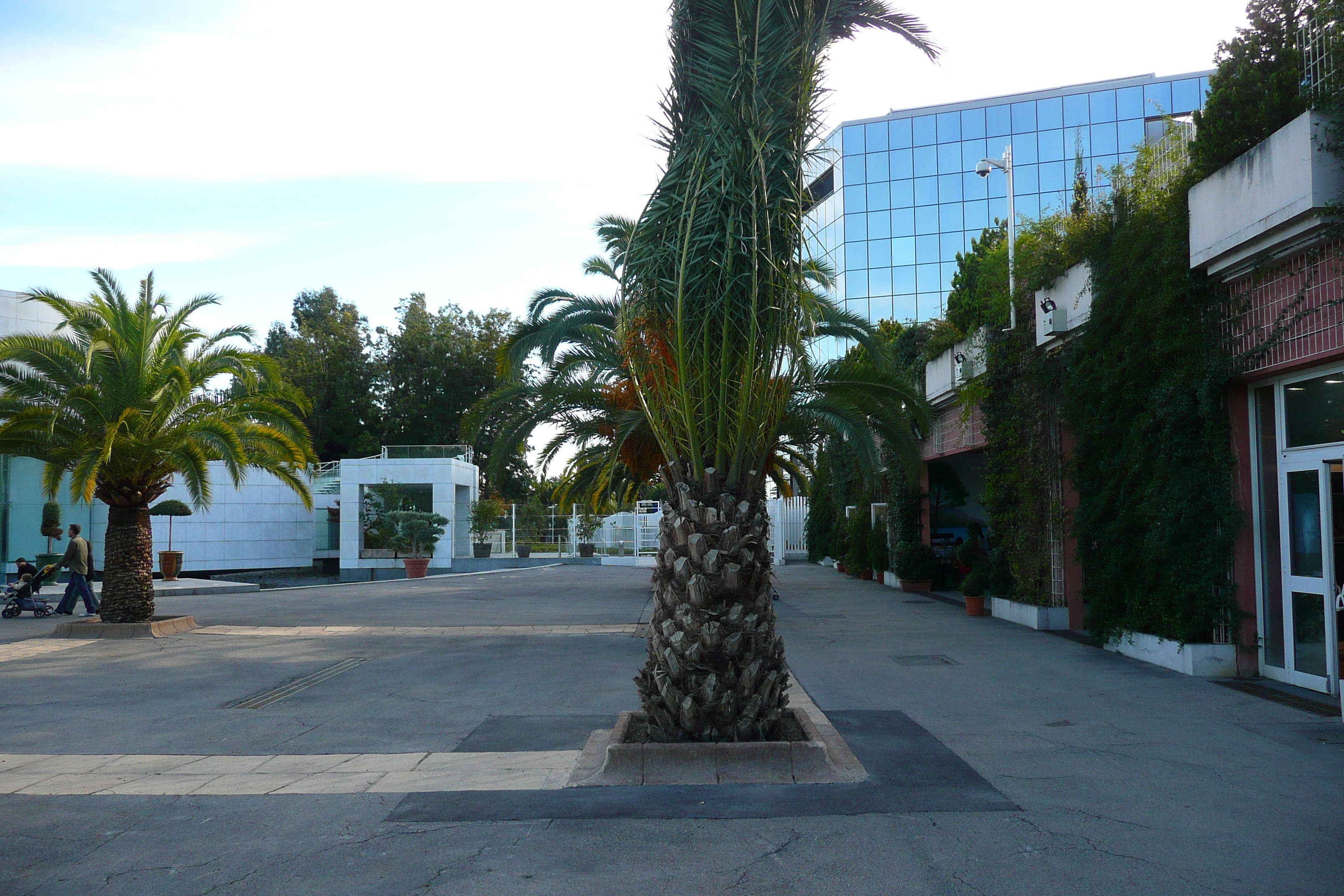 รูปถ่าย ฝรั่งเศส(France) นีส(Nice) สวนฟีนิกซ์(Phoenix Parc) 2007-10 38