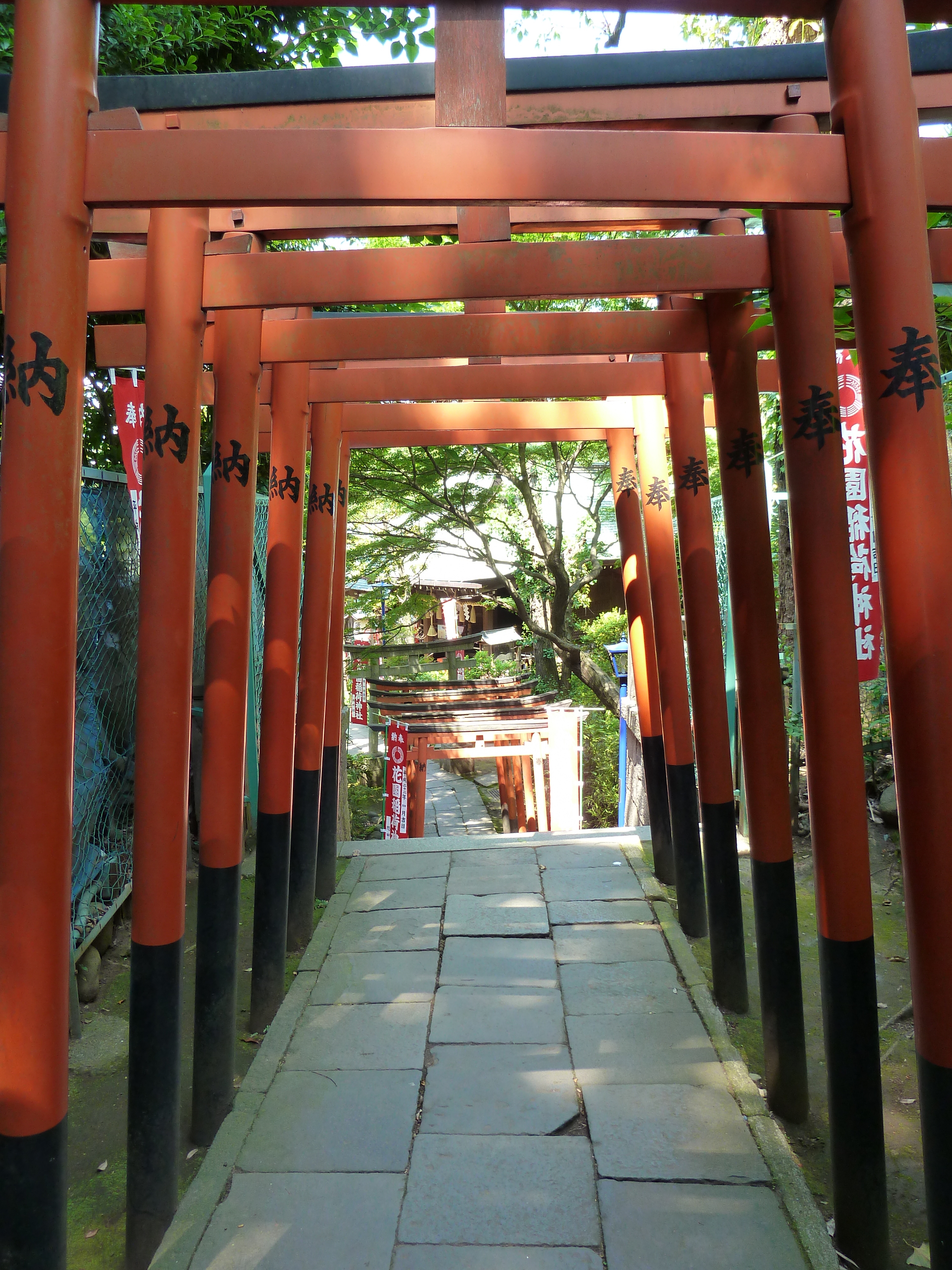 รูปถ่าย ญี่ปุ่น(Japan) โตเกียว(Tokyo) อุเอโนะ(Ueno) 2010-06 91