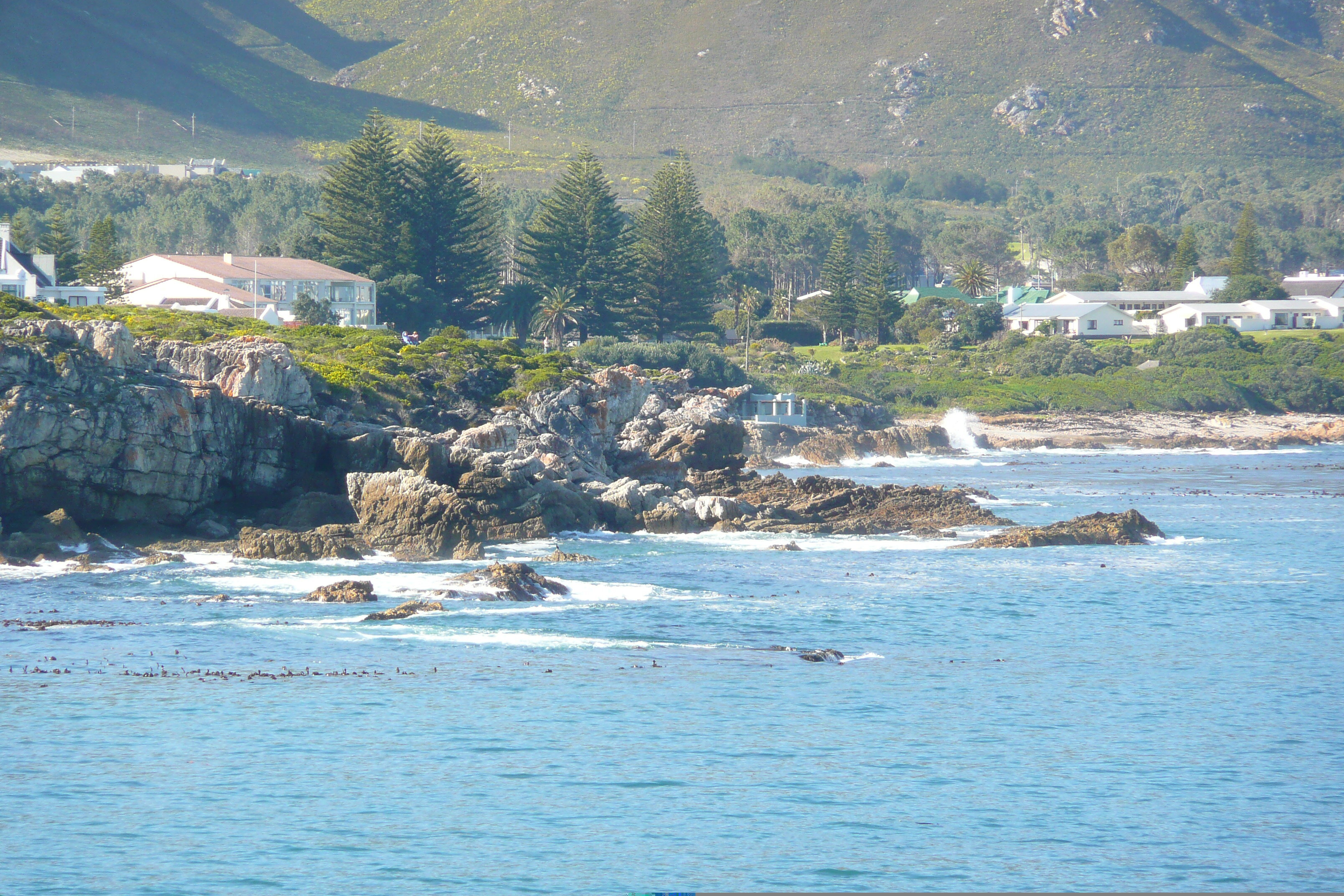 รูปถ่าย แอฟริกาใต้(South Africa) เฮอร์มานัส(Harmanus) 2008-09 21