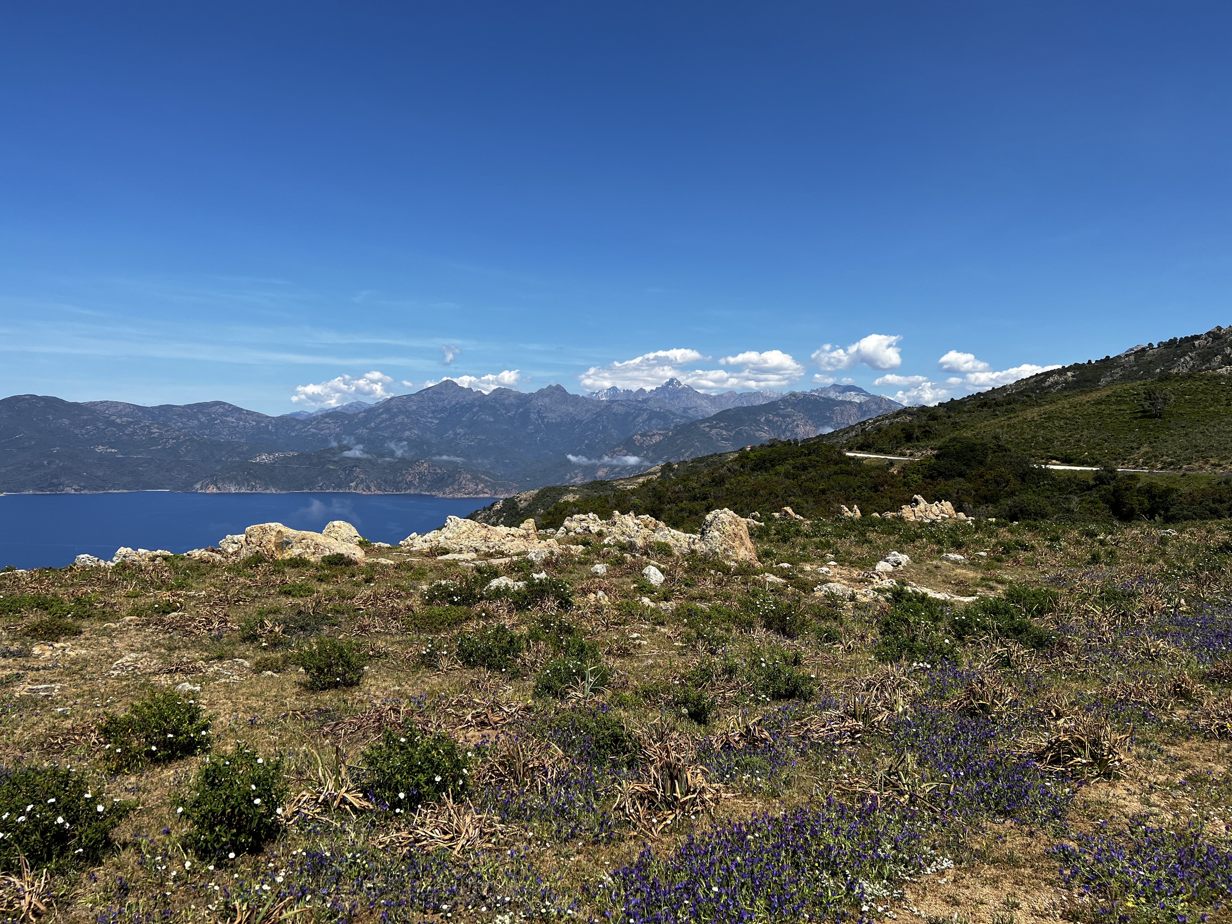 รูปถ่าย ฝรั่งเศส(France) คอร์สิคา(Corsica) แหลมกาโปรอสโซ(Capo Rosso) 2023-05 28