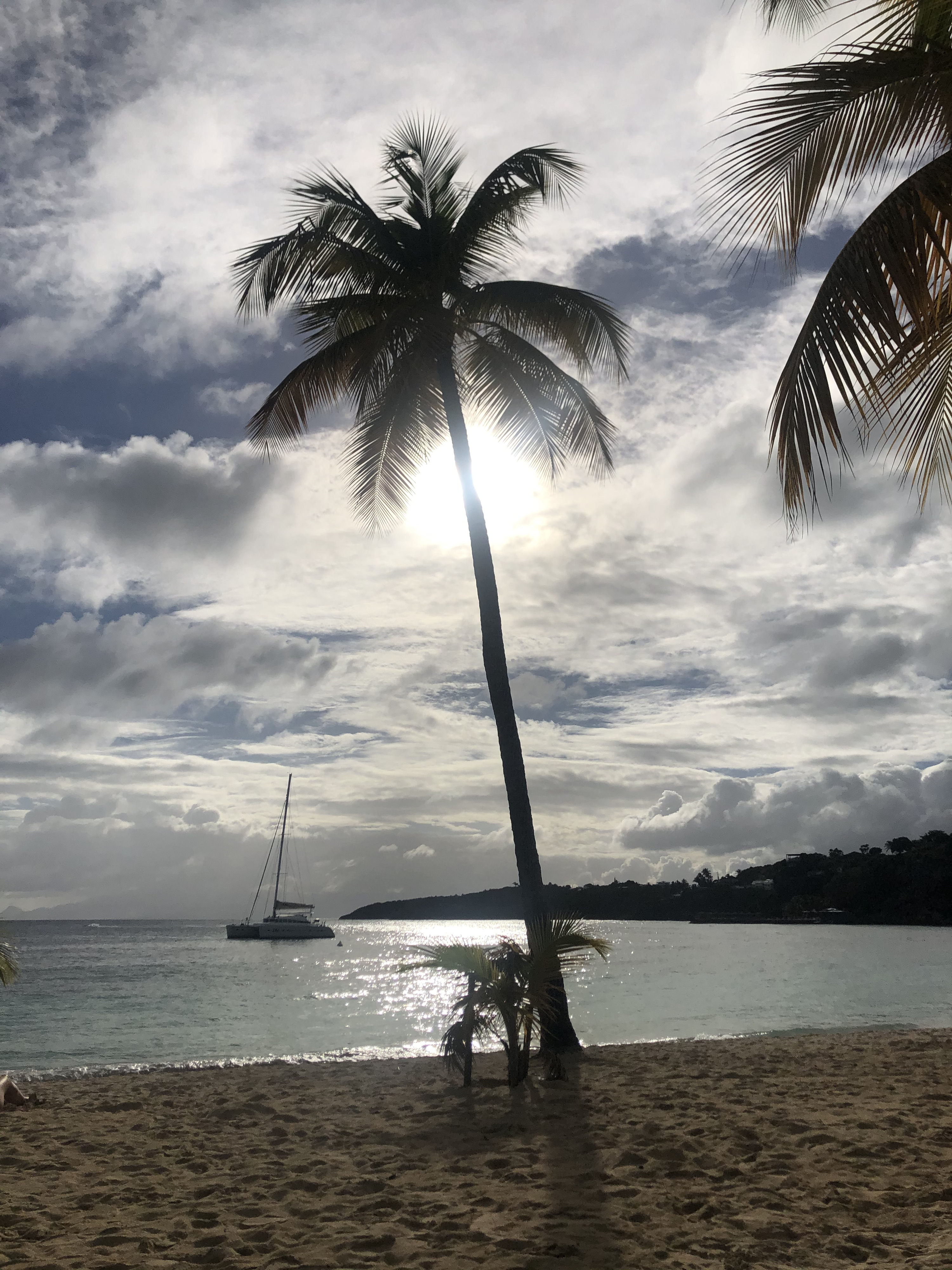 รูปถ่าย กวาเดอลูป(Guadeloupe) หาดลาการาแวล(La Caravelle Beach) 2021-02 102