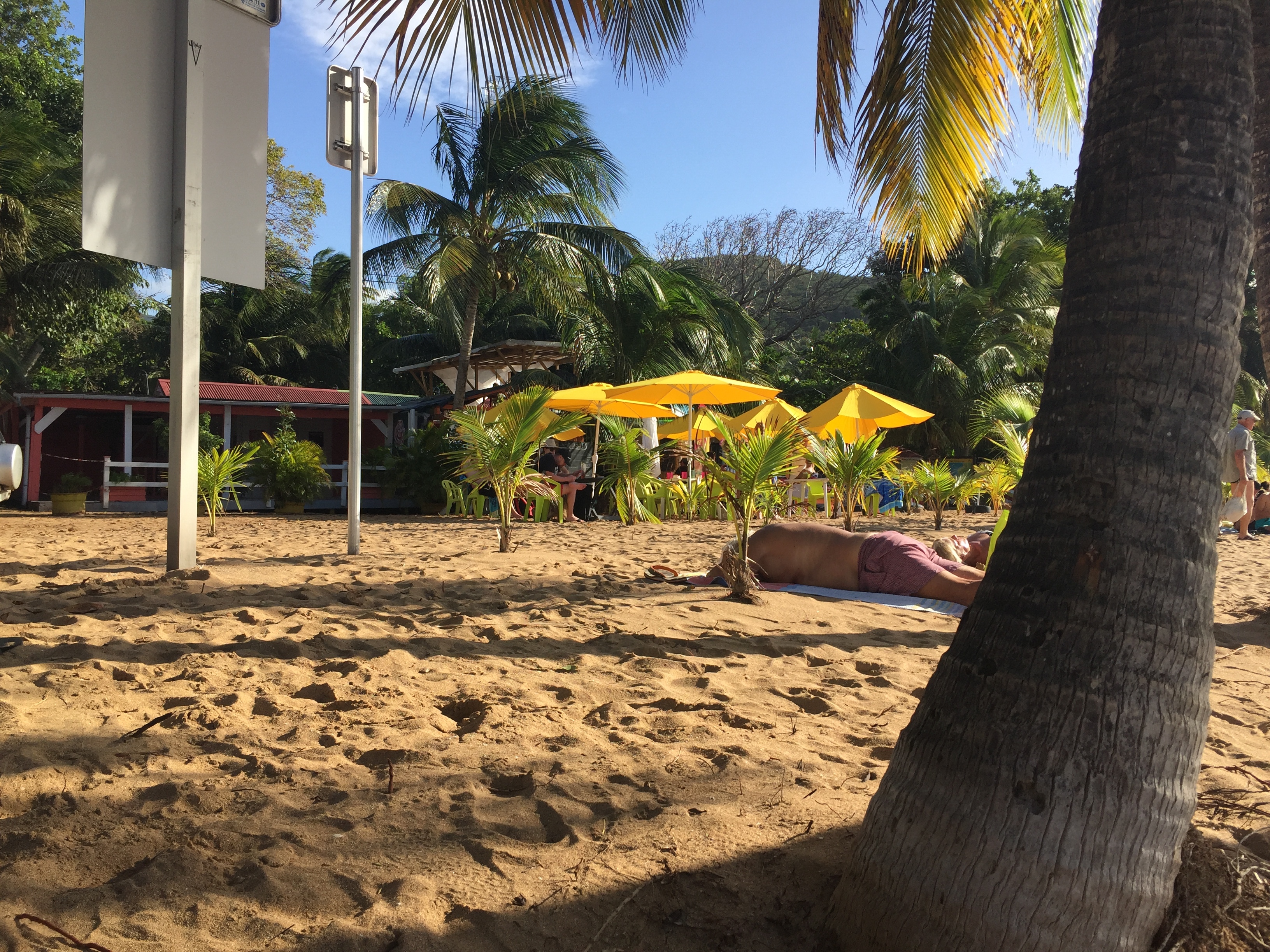 รูปถ่าย กวาเดอลูป(Guadeloupe) หาดลาแปร์ล(La Perle Beach) 2021-02 118