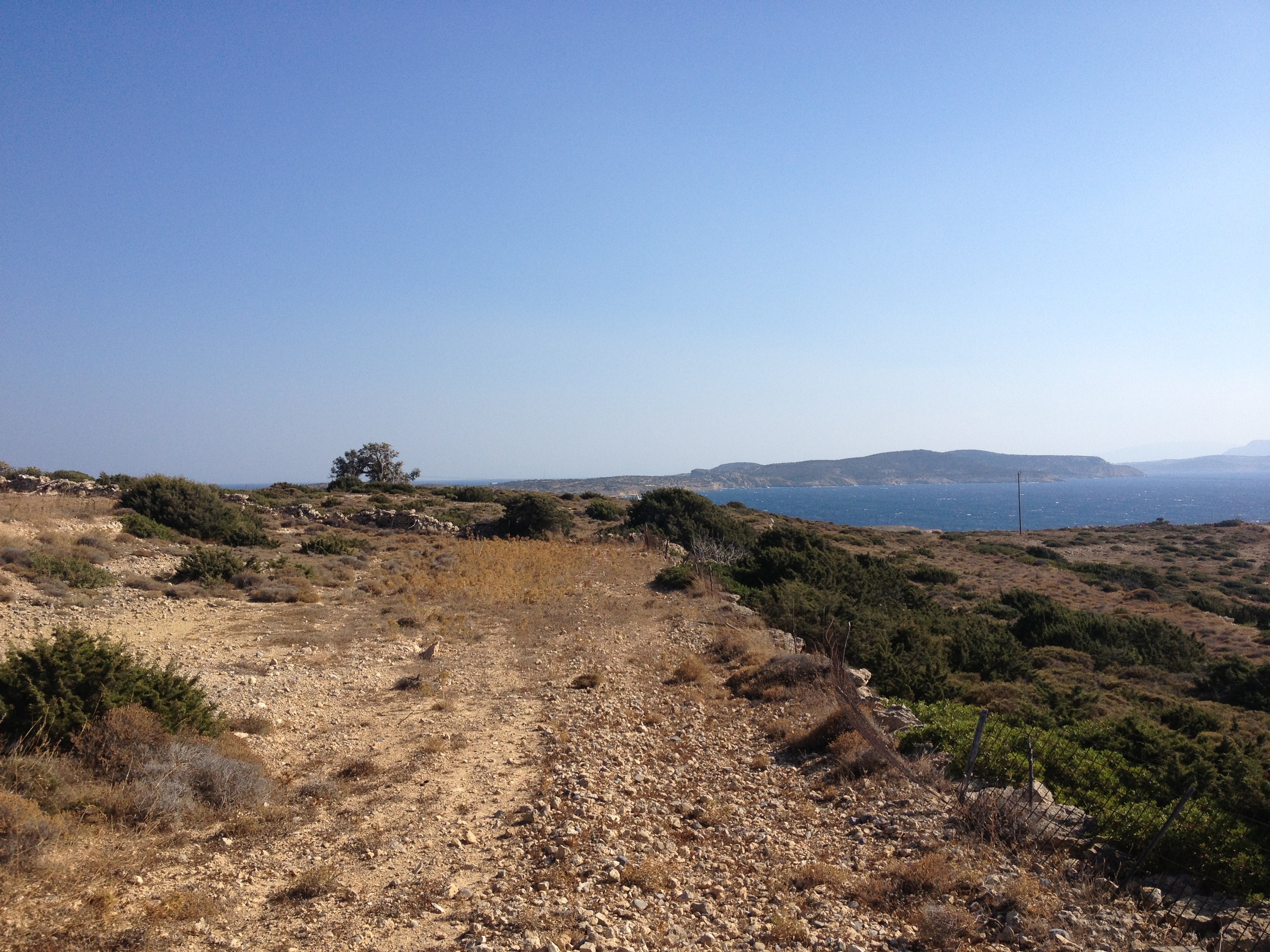 รูปถ่าย กรีก(Greece) เกาะคูโฟนิสเซีย(Koufonissia) 2014-07 56