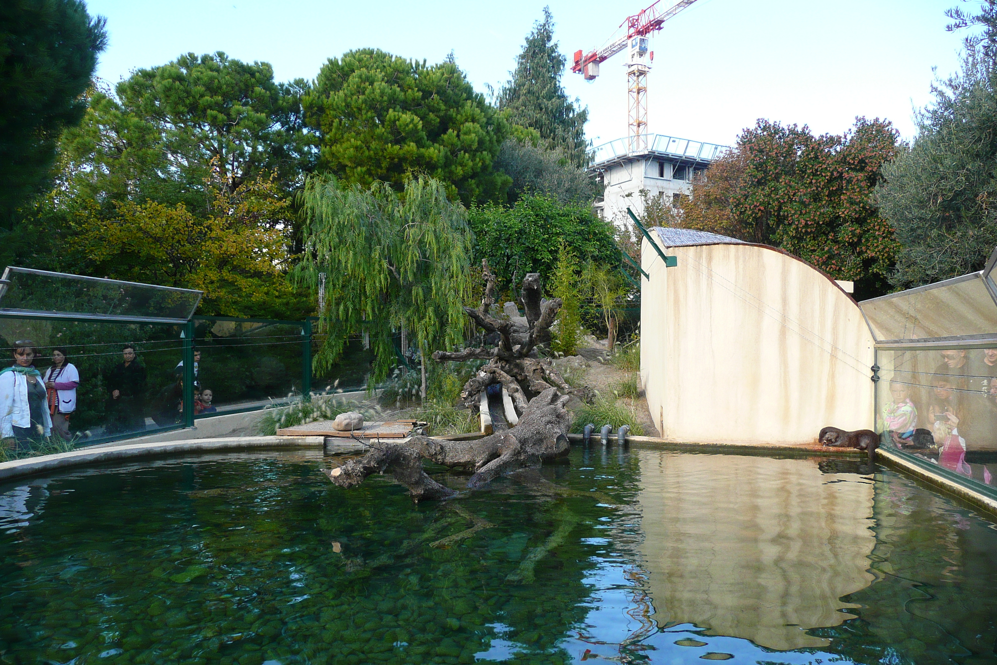 รูปถ่าย ฝรั่งเศส(France) นีส(Nice) สวนฟีนิกซ์(Phoenix Parc) 2007-10 69