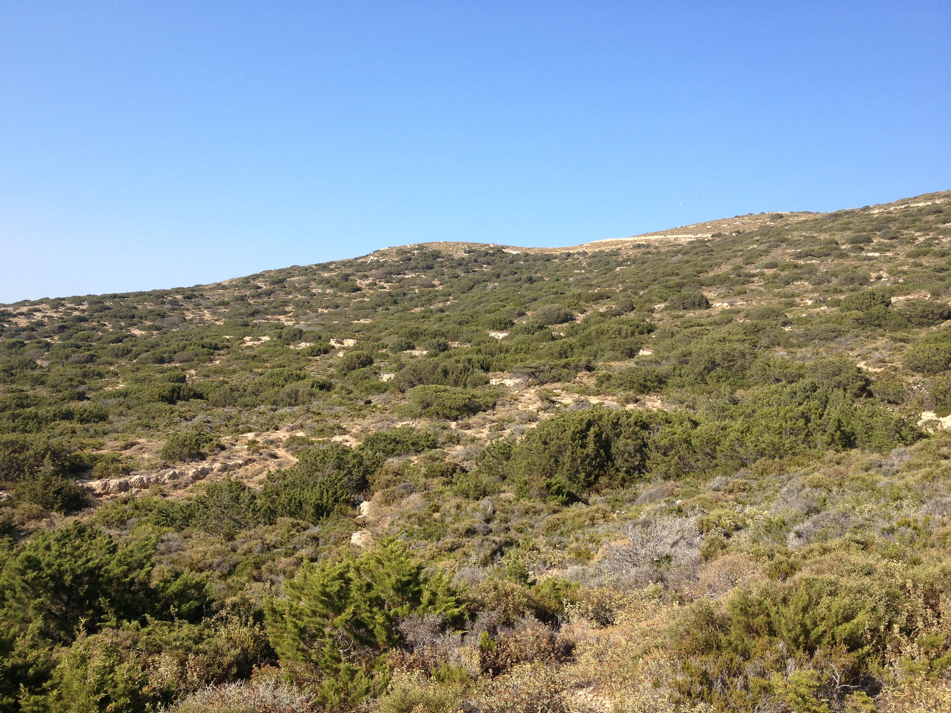 รูปถ่าย กรีก(Greece) เกาะคูโฟนิสเซีย(Koufonissia) 2014-07 659
