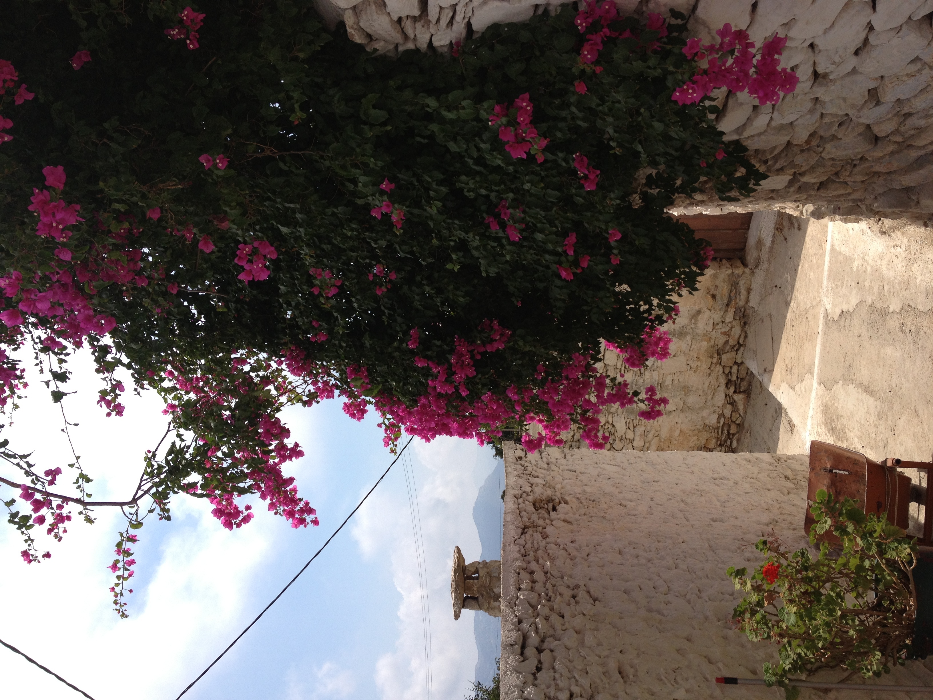 รูปถ่าย กรีก(Greece) เกาะอามอร์กอส(Amorgos) 2014-07 117