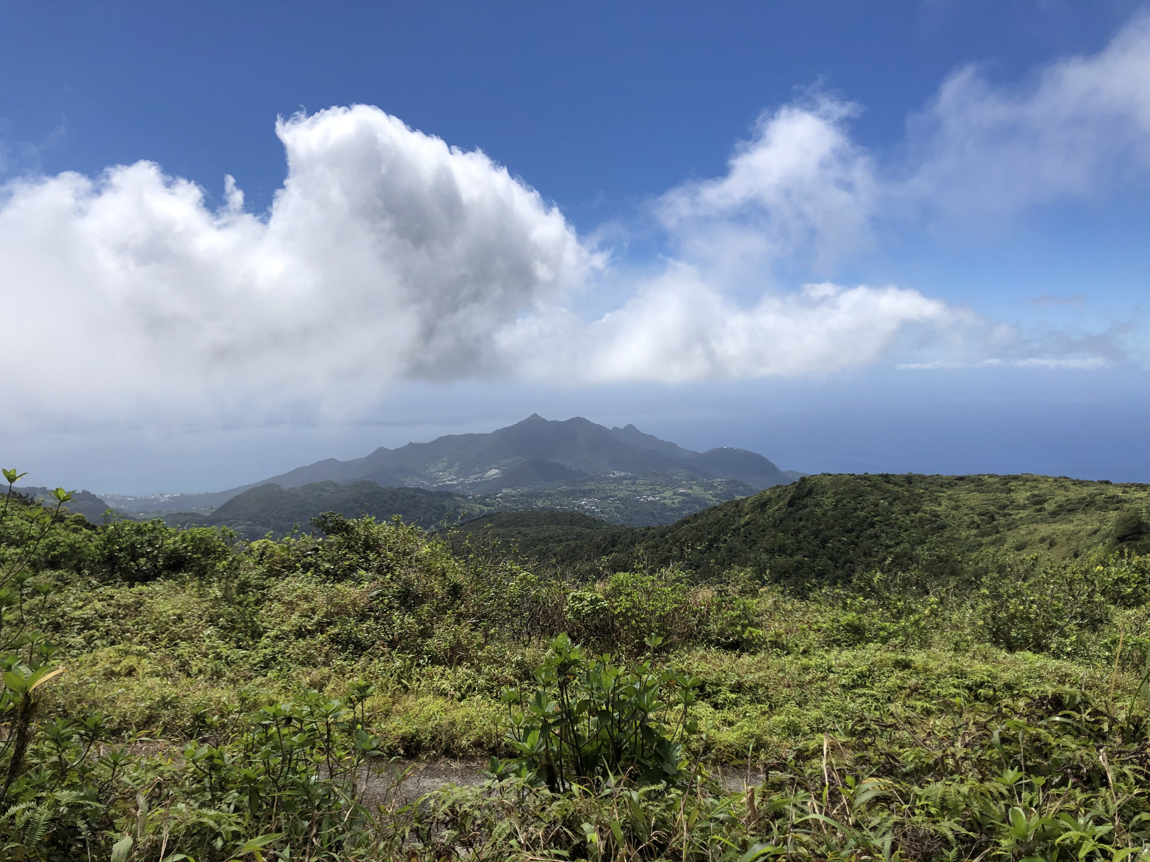 รูปถ่าย กวาเดอลูป(Guadeloupe) ภูเขาไฟลากร็องด์ซูฟรีแยร์(La Grande Soufriere) 2021-02 30