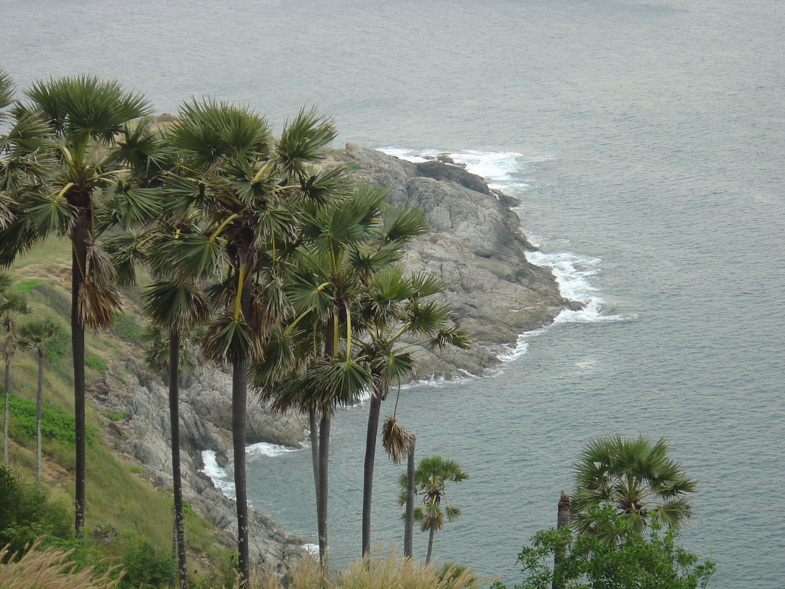 รูปถ่าย ไทย(Thailand) ภูเก็ต(Phuket) แหลมพรมเทพ(Prom Thep Cape) 2005-12 54