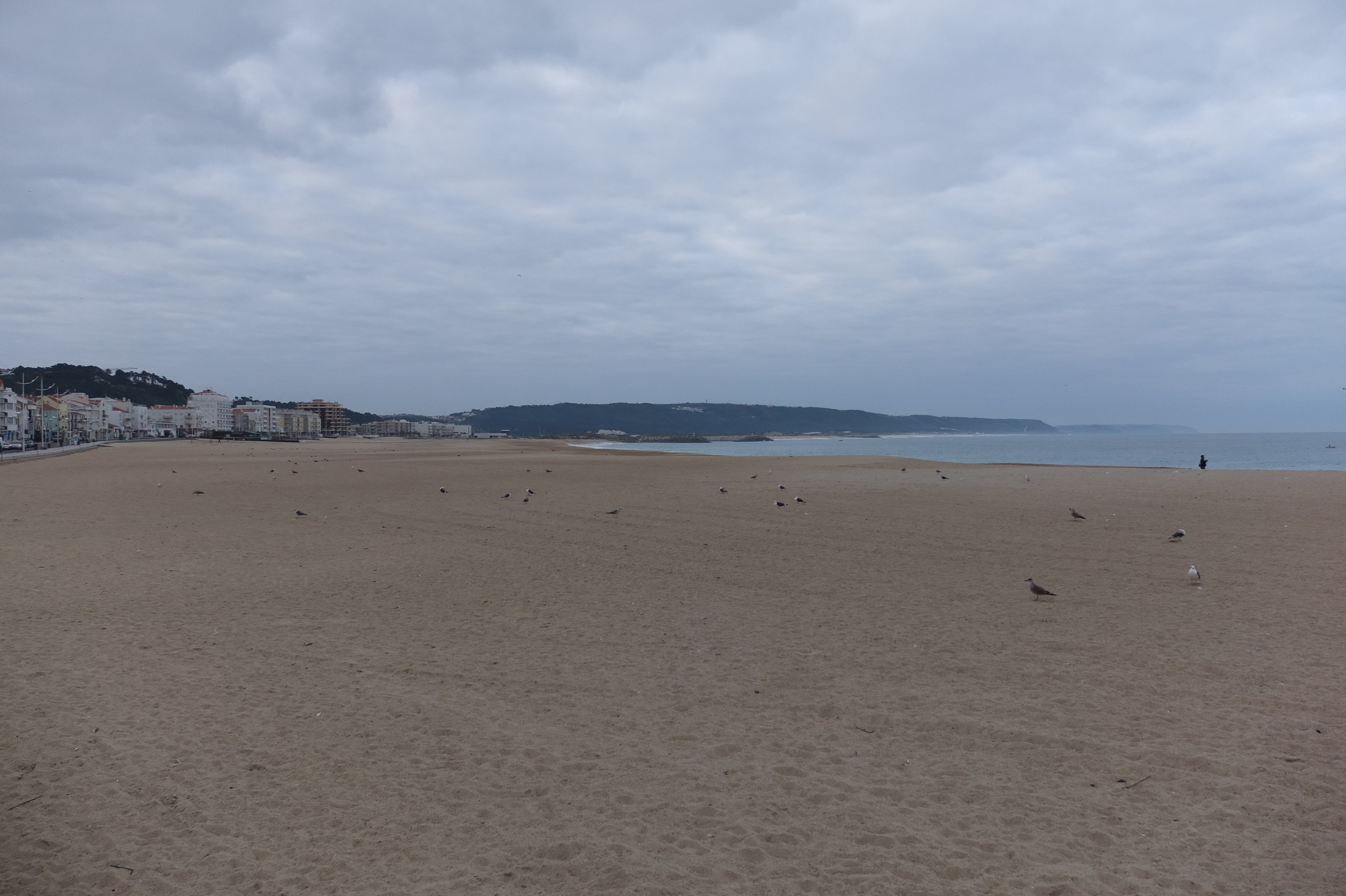 รูปถ่าย โปรตุเกส(Portugal) นาซาเร(Nazare) 2013-01 79