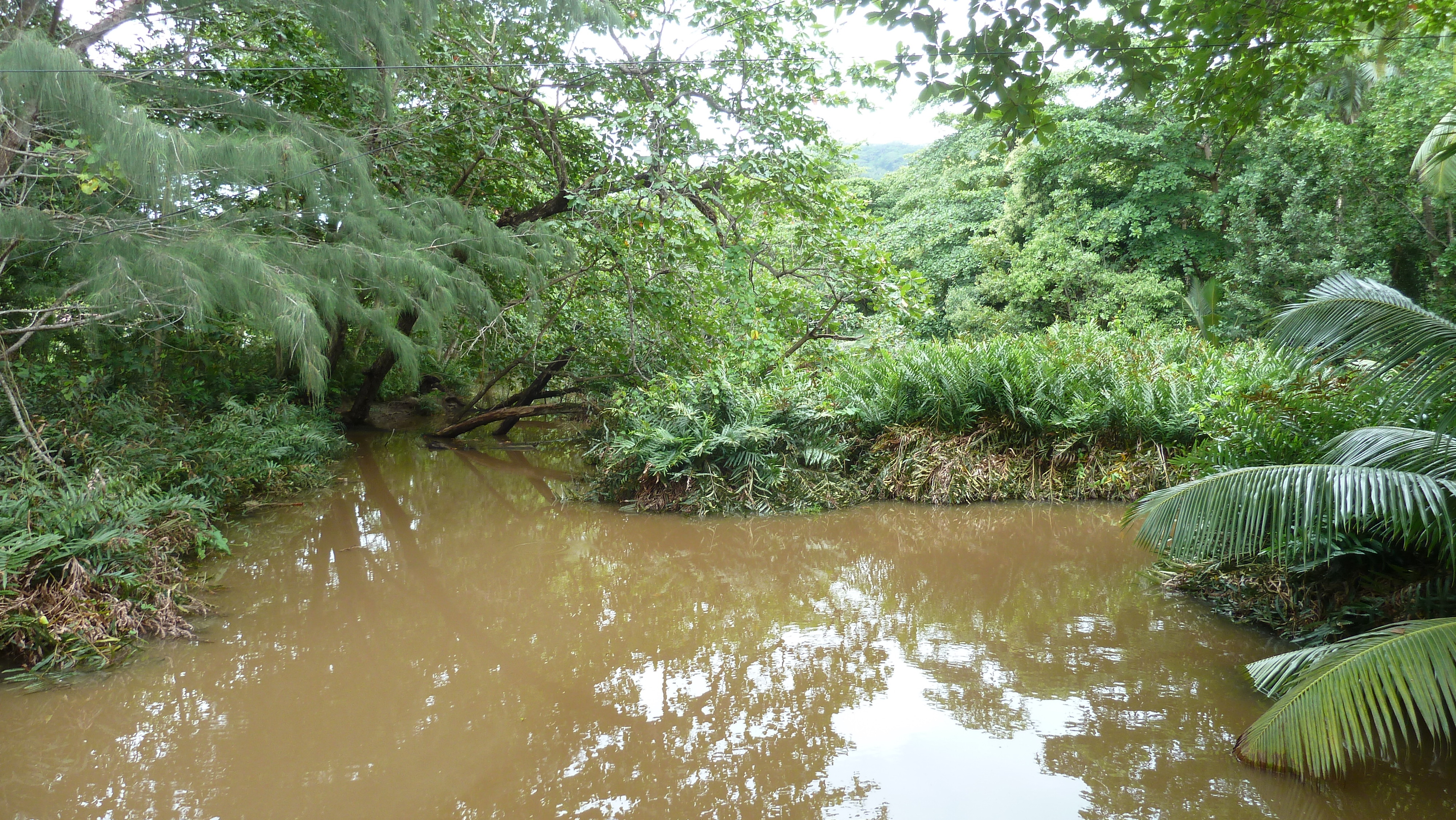 รูปถ่าย เซเชลส์(Seychelles) เกาะลาดีก(La Digue) 2011-10 0