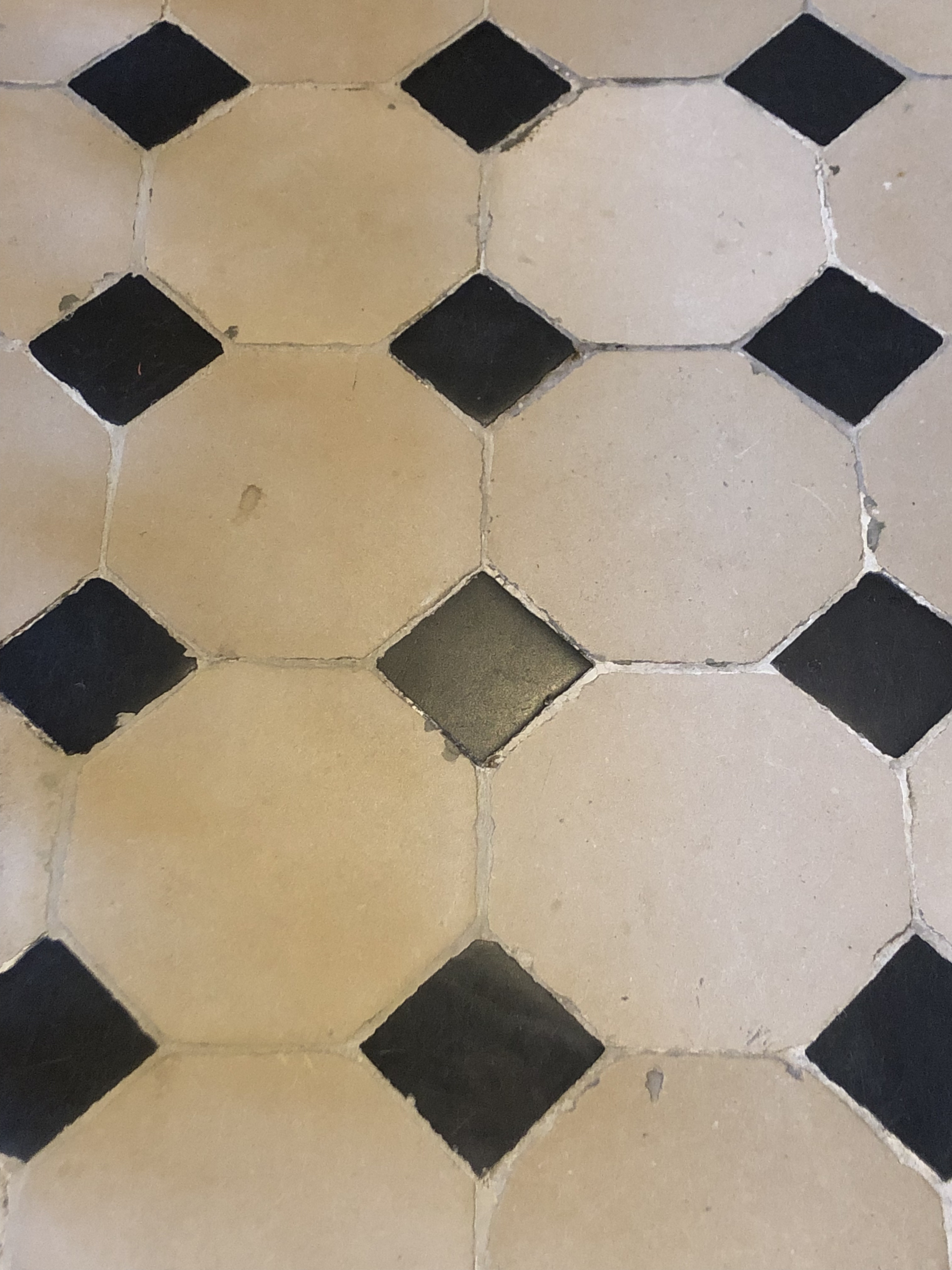 รูปถ่าย ฝรั่งเศส(France) ฟงเทนโบล(Fontainebleau) 2019-04 469