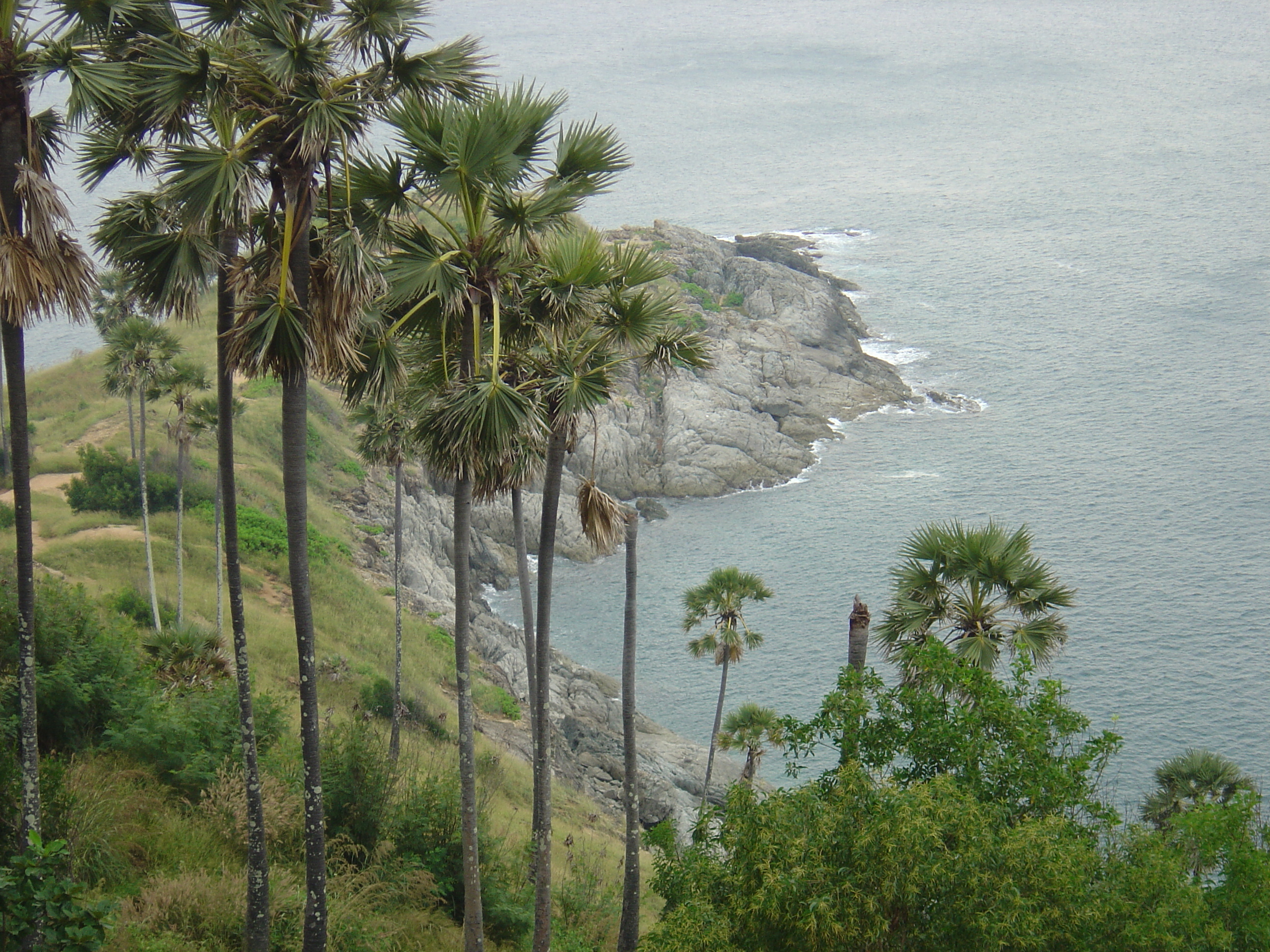 รูปถ่าย ไทย(Thailand) ภูเก็ต(Phuket) แหลมพรมเทพ(Prom Thep Cape) 2005-12 52