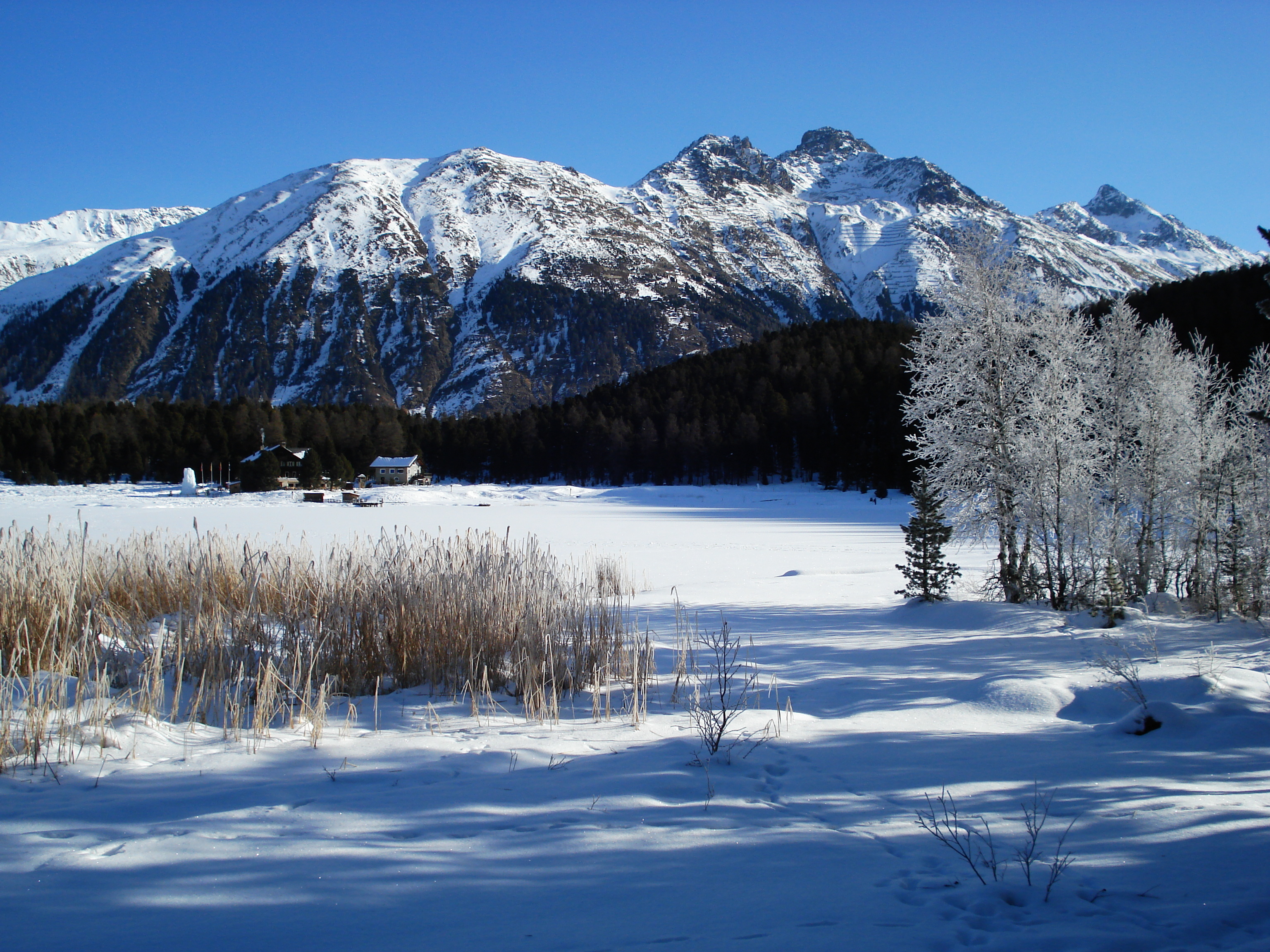 รูปถ่าย สวิสเซอร์แลนด์(Switzerland) เซนต์มอริตซ์ ชลาริญญา(St Moritz Schlarigna) 2007-01 32