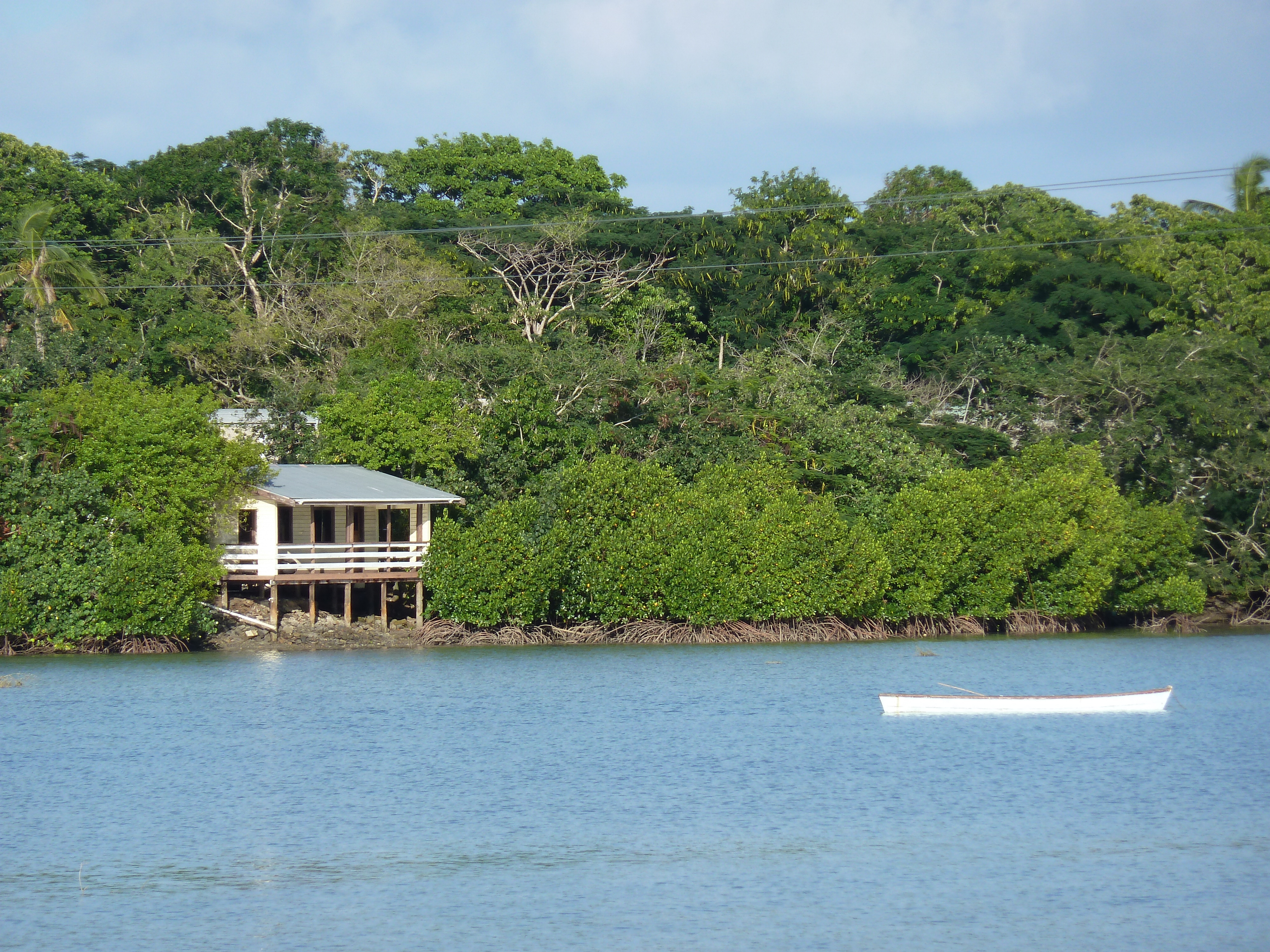 รูปถ่าย ฟิจิ(Fiji) ถนนจากนาดีไปซิงกาโตกา(Nadi to Sigatoka road) 2010-05 10