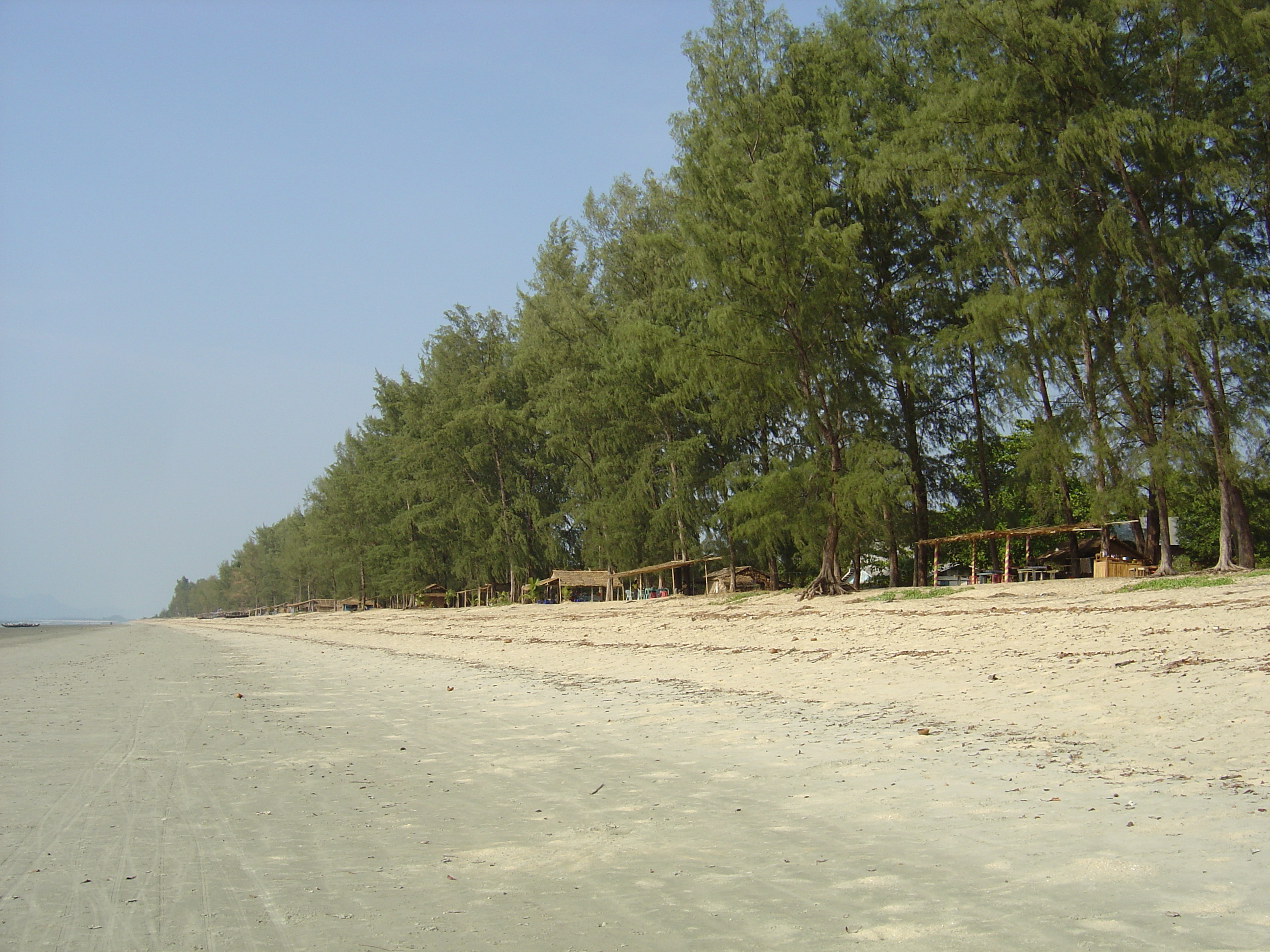 รูปถ่าย พม่า(Myanmar) หาดหม่องมะกัน(Maungmagan beach) 2005-01 16
