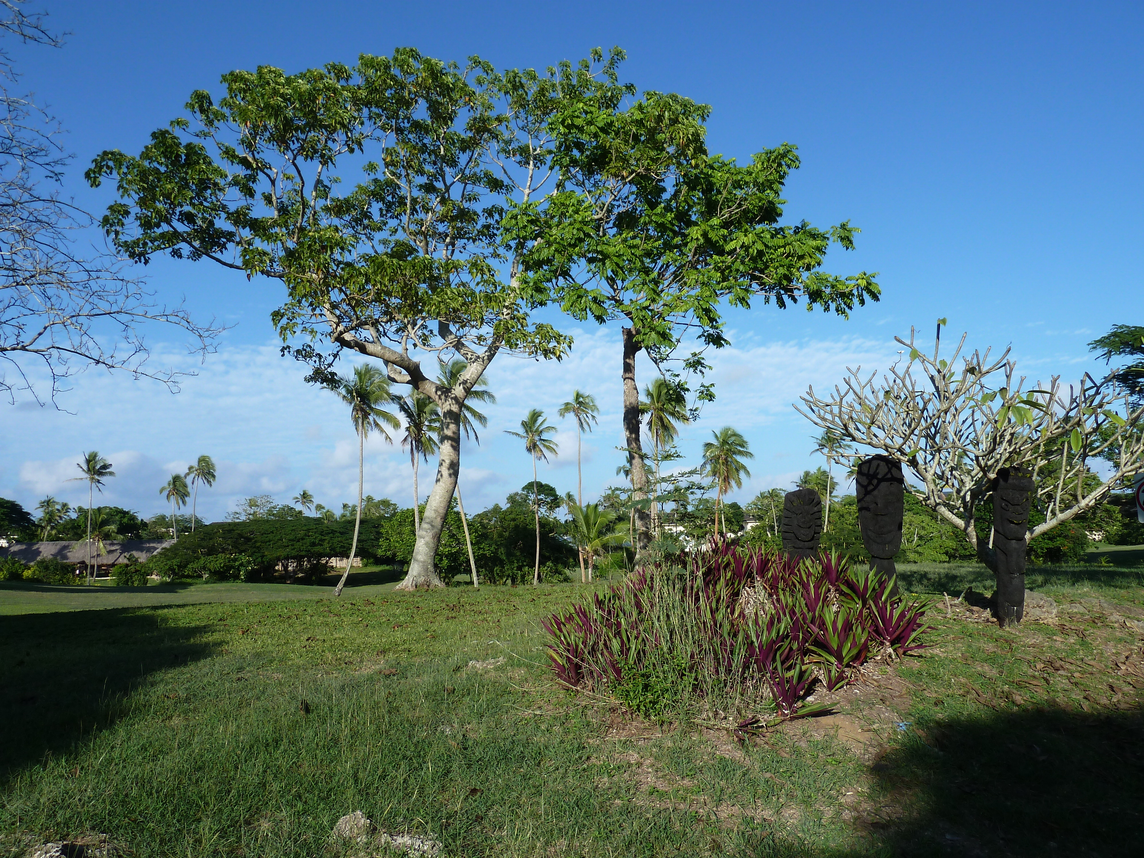 รูปถ่าย ฟิจิ(Fiji) รีสอร์ตแชงกรี-ลาฟิเจียน(Shangri La Fijian Resort) 2010-05 4