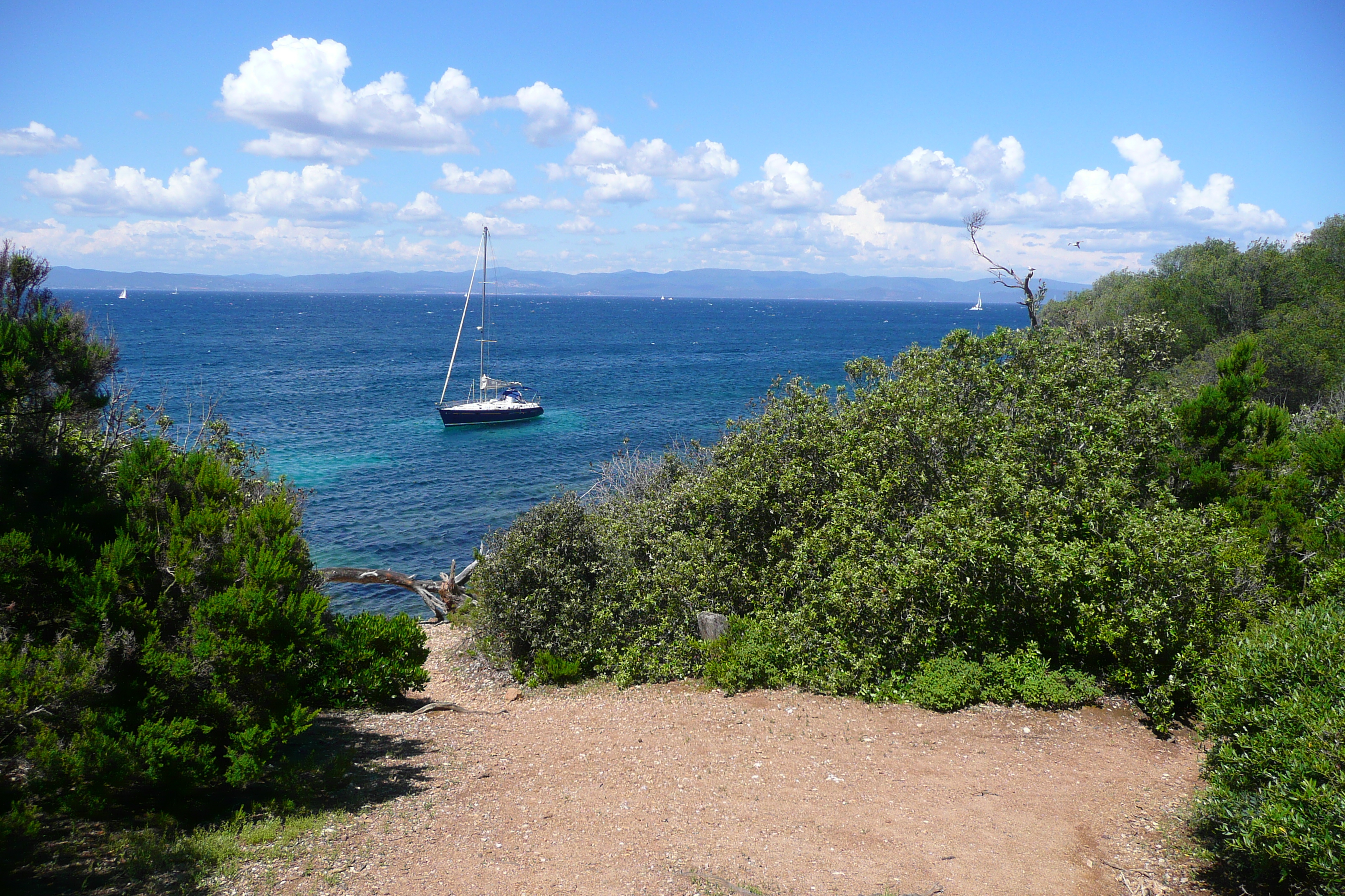 รูปถ่าย ฝรั่งเศส(France) เกาะปอร์เกอรอล(Porquerolles Island) แหลมเลอแก็ง(Pointe du Lequin) 2008-05 19