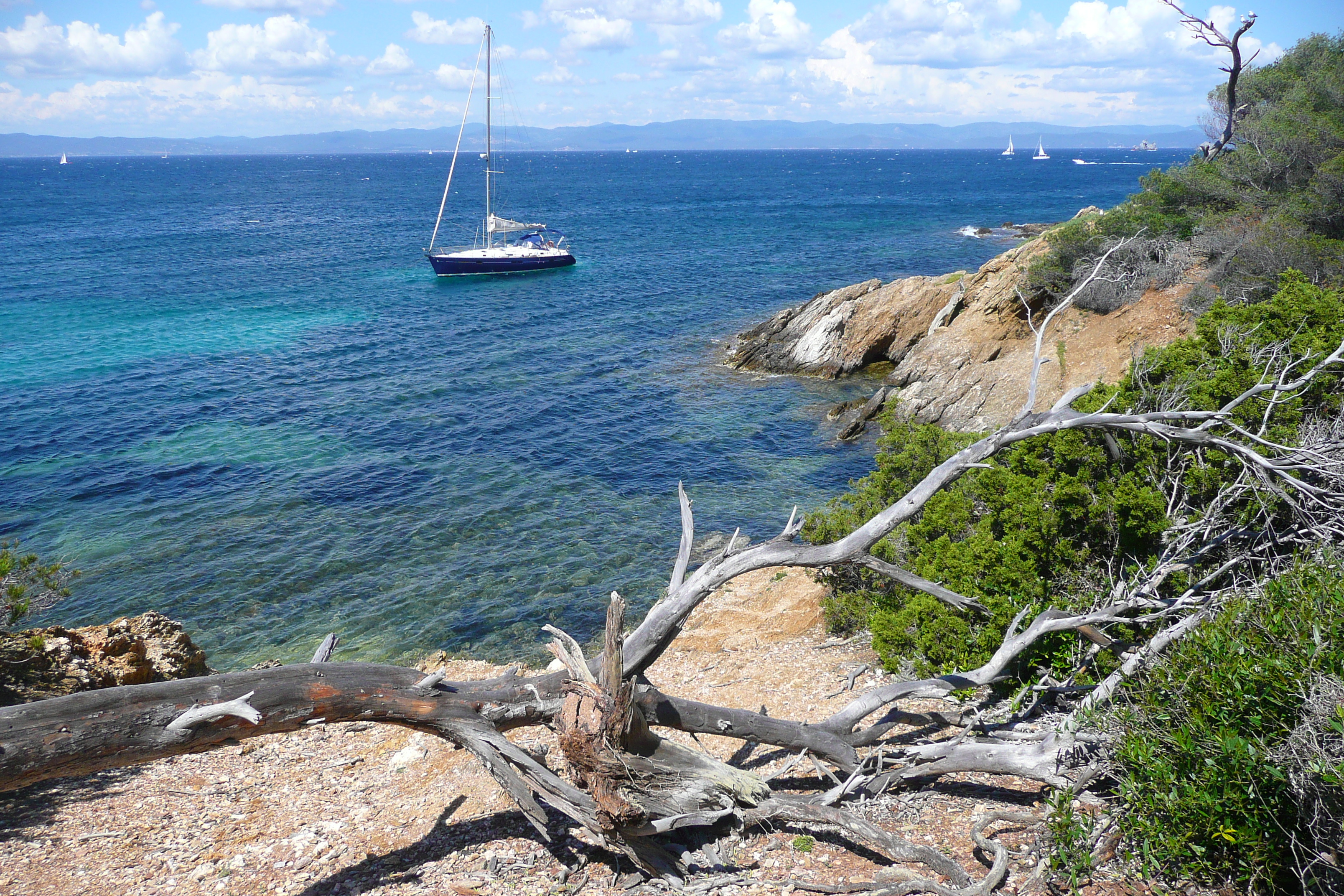 รูปถ่าย ฝรั่งเศส(France) เกาะปอร์เกอรอล(Porquerolles Island) แหลมเลอแก็ง(Pointe du Lequin) 2008-05 10