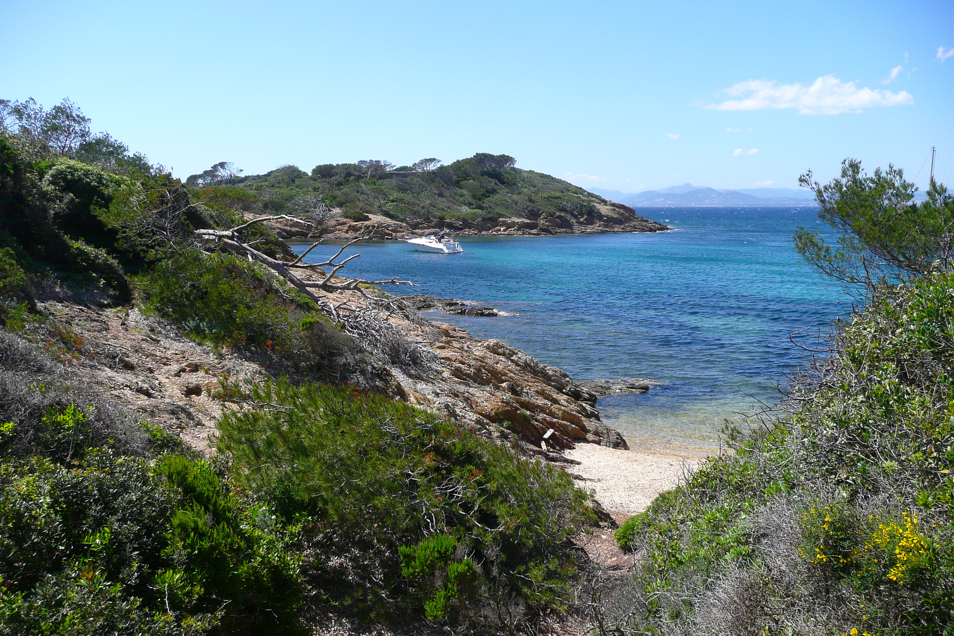 รูปถ่าย ฝรั่งเศส(France) เกาะปอร์เกอรอล(Porquerolles Island) แหลมเลอแก็ง(Pointe du Lequin) 2008-05 20
