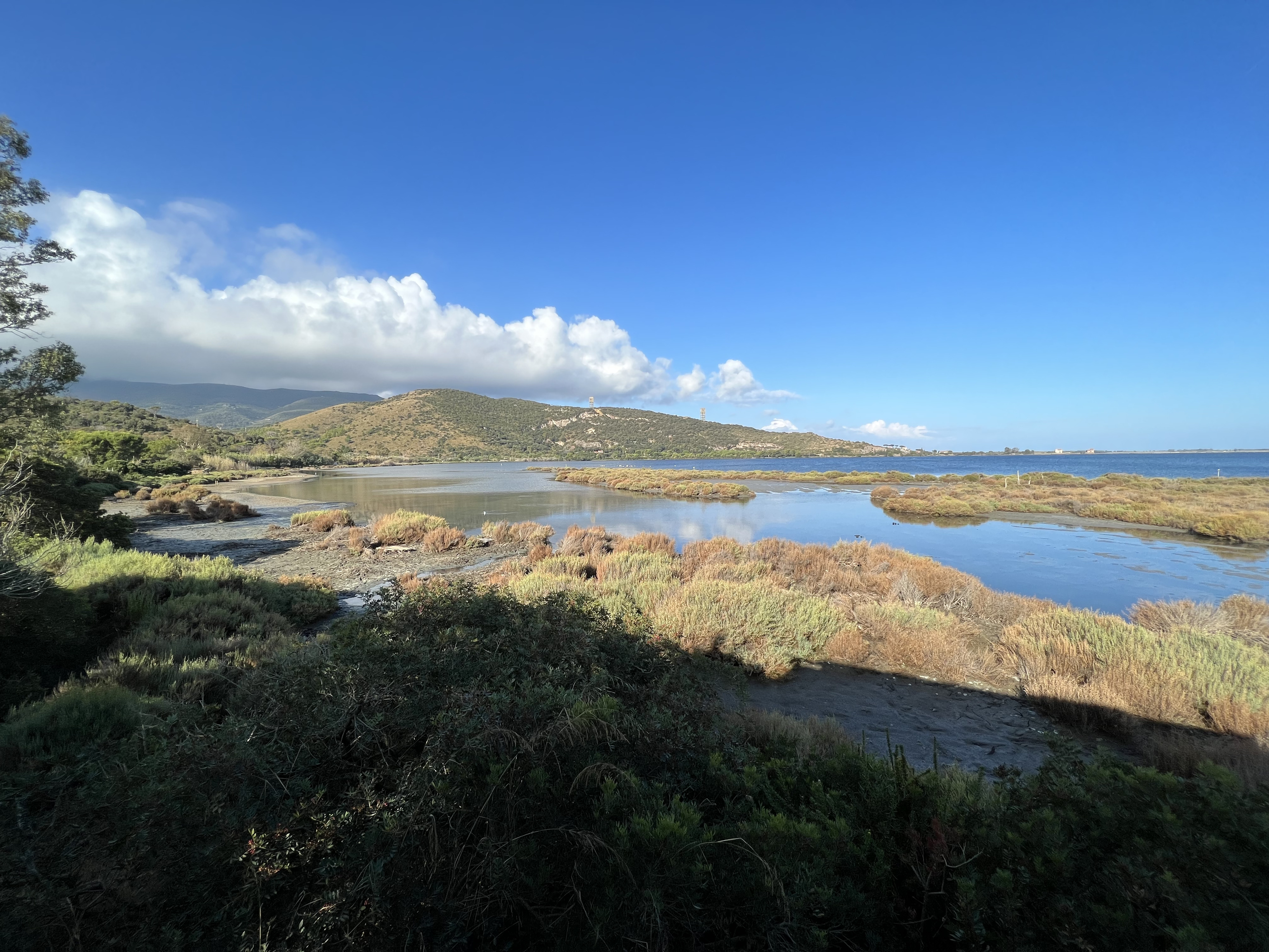 รูปถ่าย อิตาลี(Italy) ออร์เบเตลโล(Orbetello) 2021-09 4