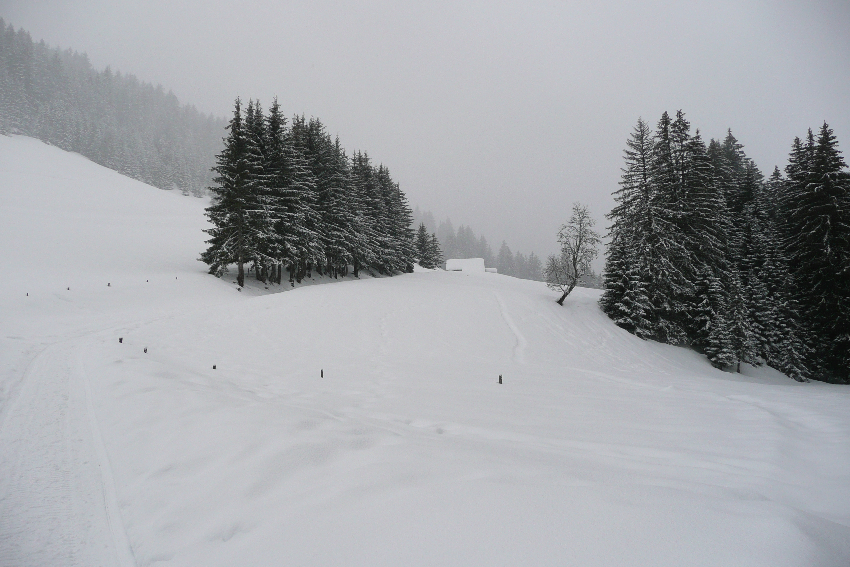 รูปถ่าย ฝรั่งเศส(France) เมแฌฟว์(Megeve) เลอปลาเน(Le Planay) 2010-02 2