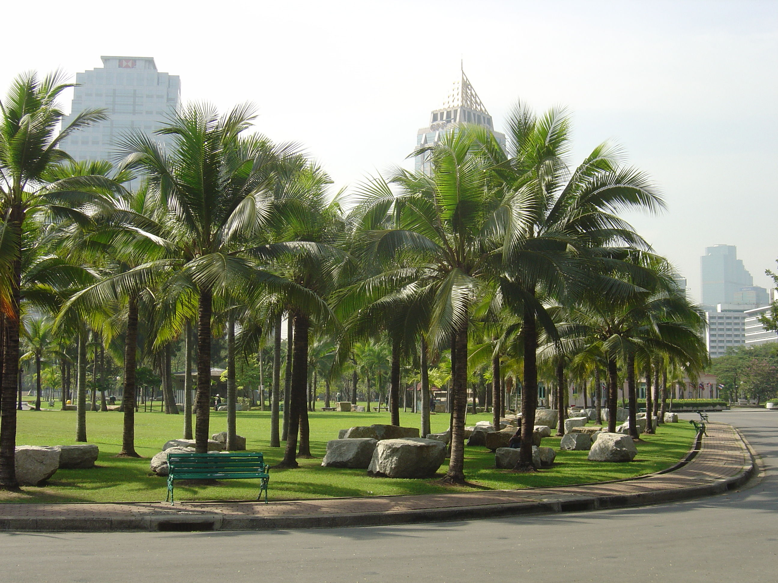 รูปถ่าย ไทย(Thailand) กรุงเทพมหานคร(Bangkok) สวนลุมพินี(Lumpini Park) 2005-12 33