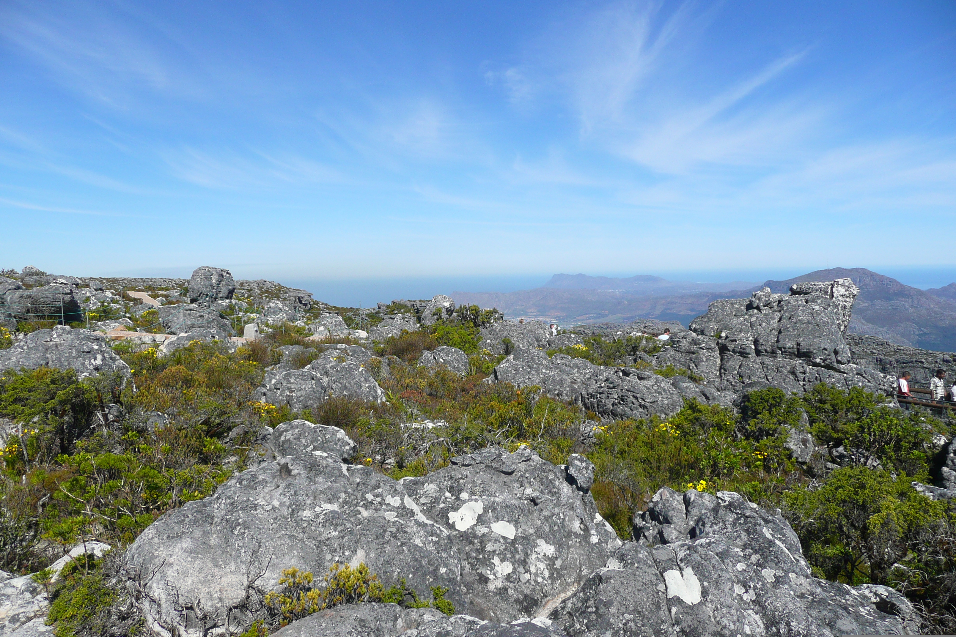 รูปถ่าย แอฟริกาใต้(South Africa) เคปทาวน์(Cape Town) ภูเขาเทเบิล(Table Mountain) 2008-09 40