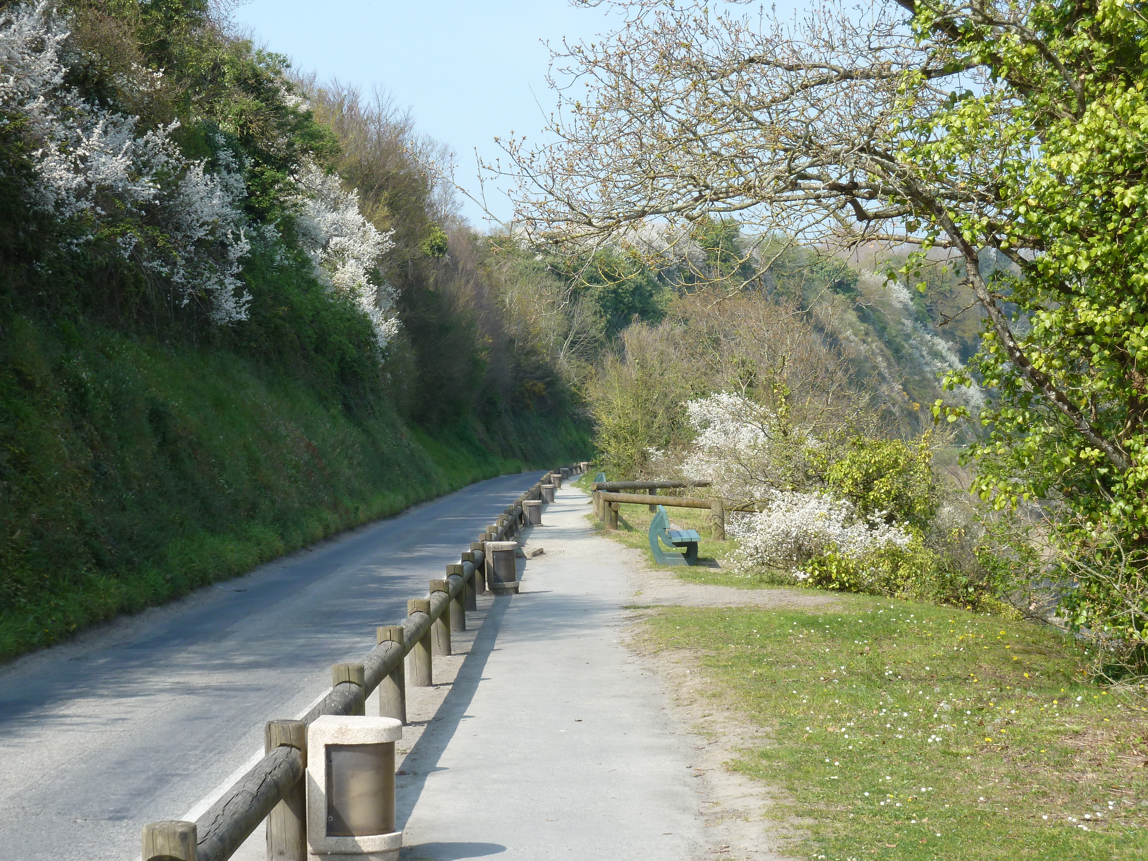 รูปถ่าย ฝรั่งเศส(France) ก็องกาล(Cancale) 2010-04 81