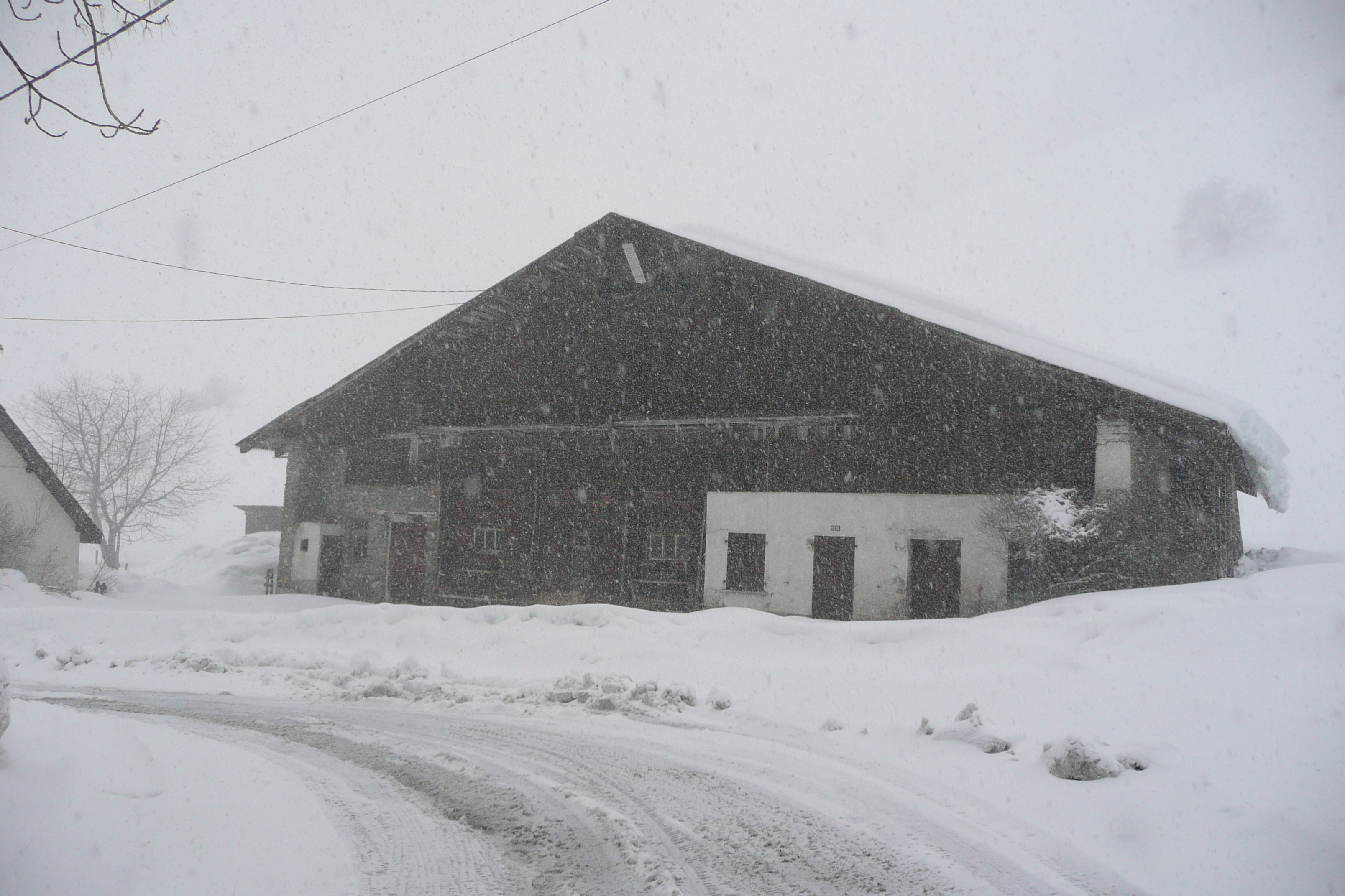 รูปถ่าย ฝรั่งเศส(France) เมแฌฟว์(Megeve) เลอปลาเน(Le Planay) 2010-02 8