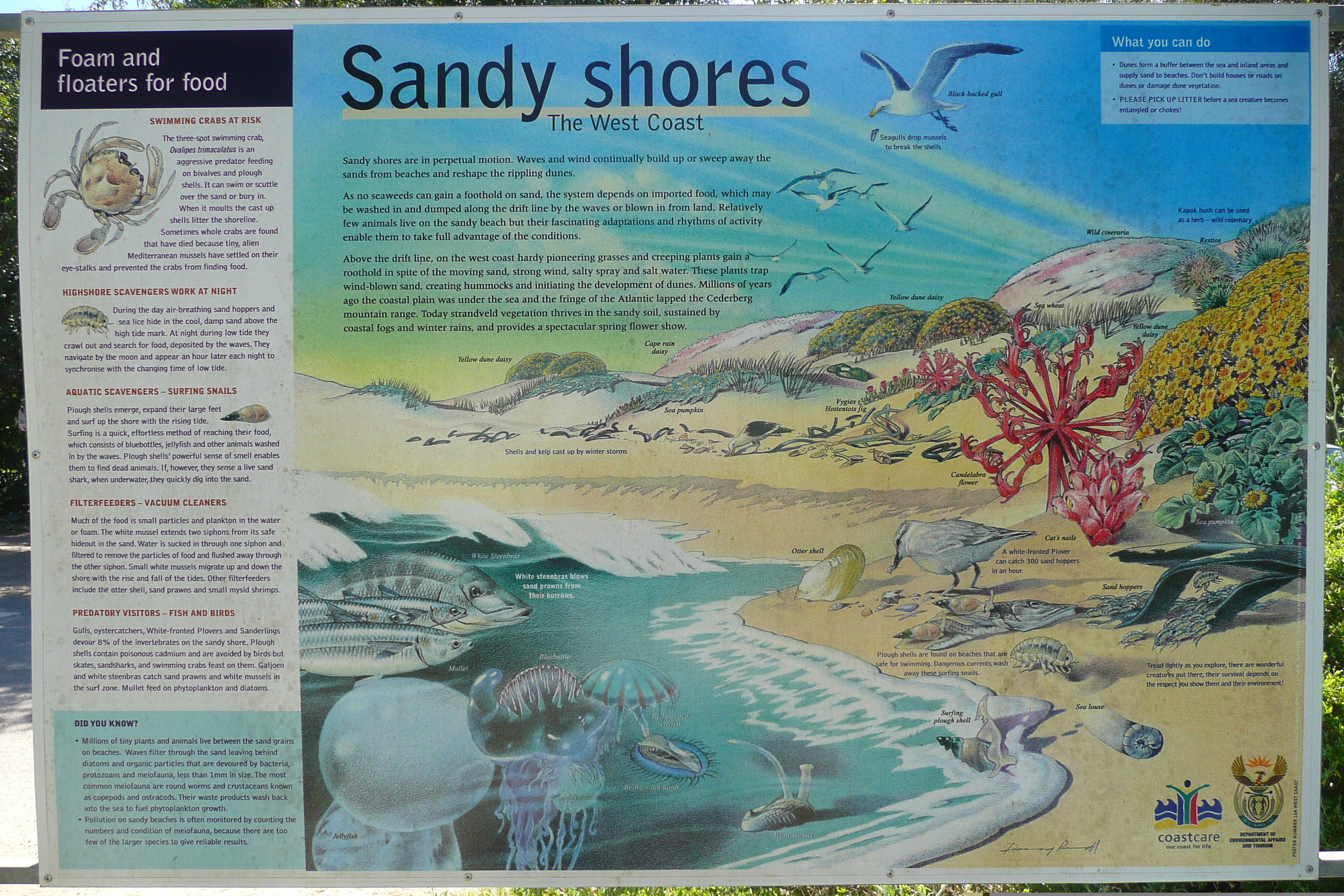 รูปถ่าย แอฟริกาใต้(South Africa) หุบเขาเนเจอร์ส(Nature's Valley) 2008-09 85