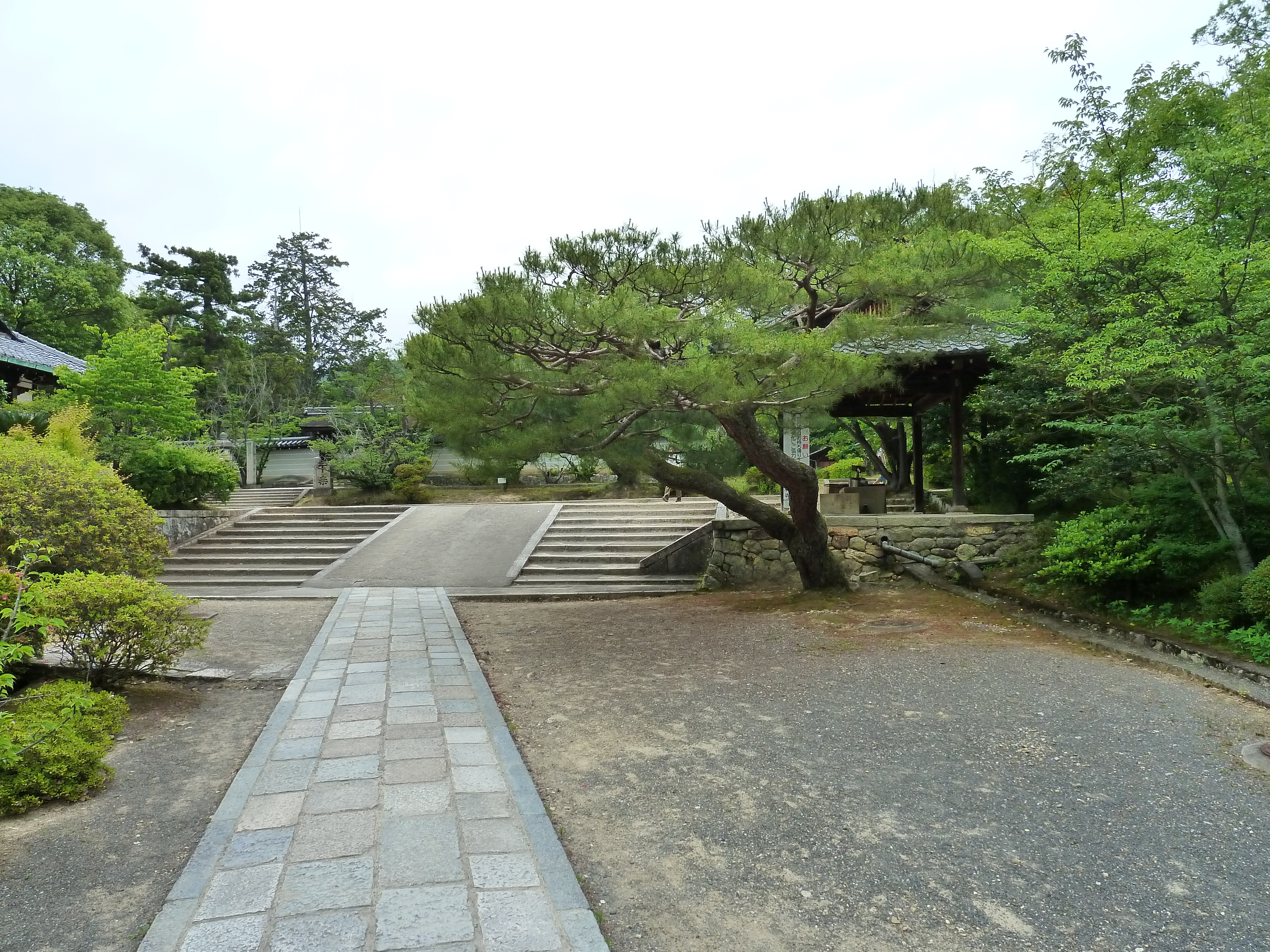 รูปถ่าย ญี่ปุ่น(Japan) เกียวโต(Kyoto) วัดนินนะจิ(Ninna ji Temple) 2010-06 39