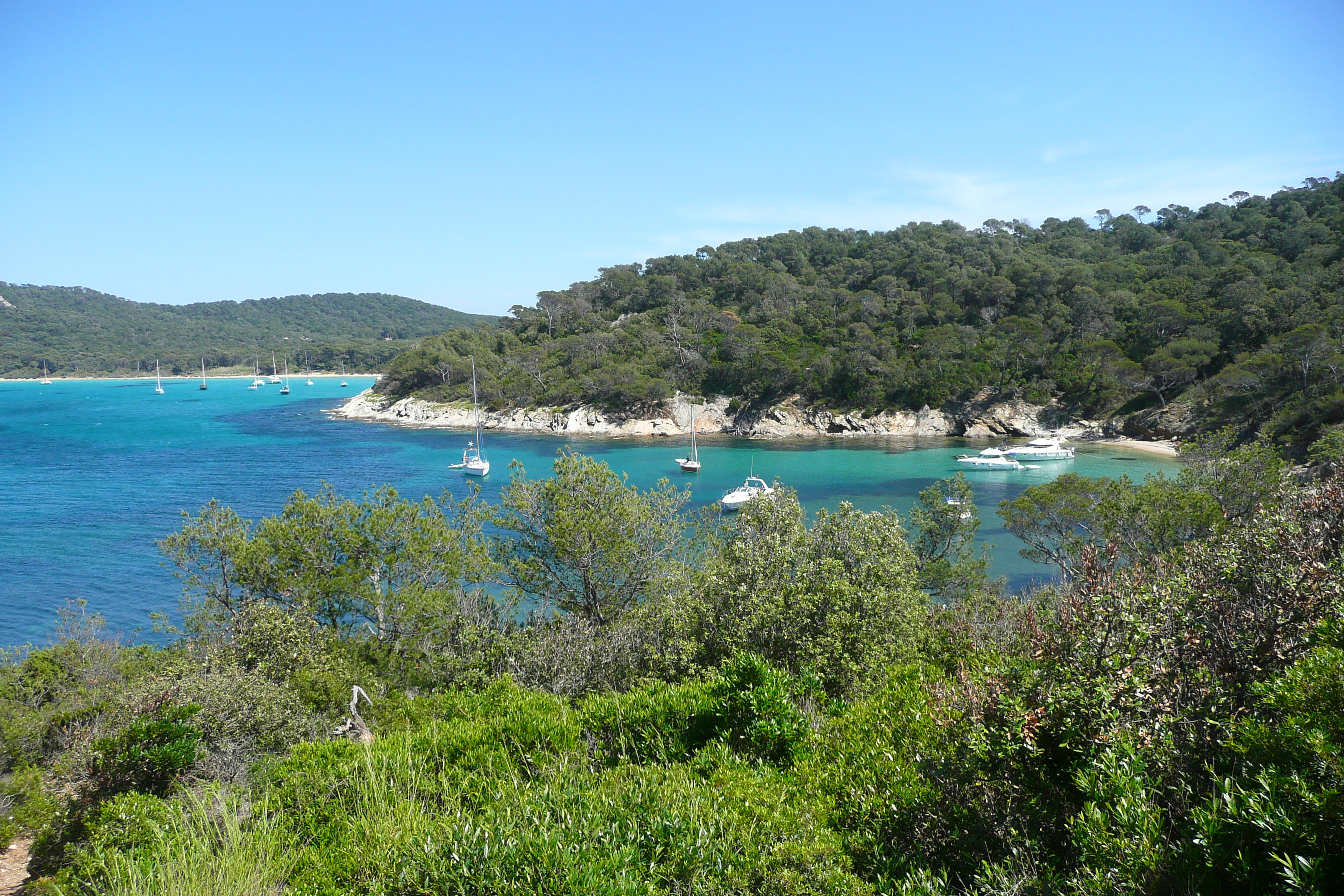 รูปถ่าย ฝรั่งเศส(France) เกาะปอร์เกอรอล(Porquerolles Island) แหลมเลอแก็ง(Pointe du Lequin) 2008-05 18