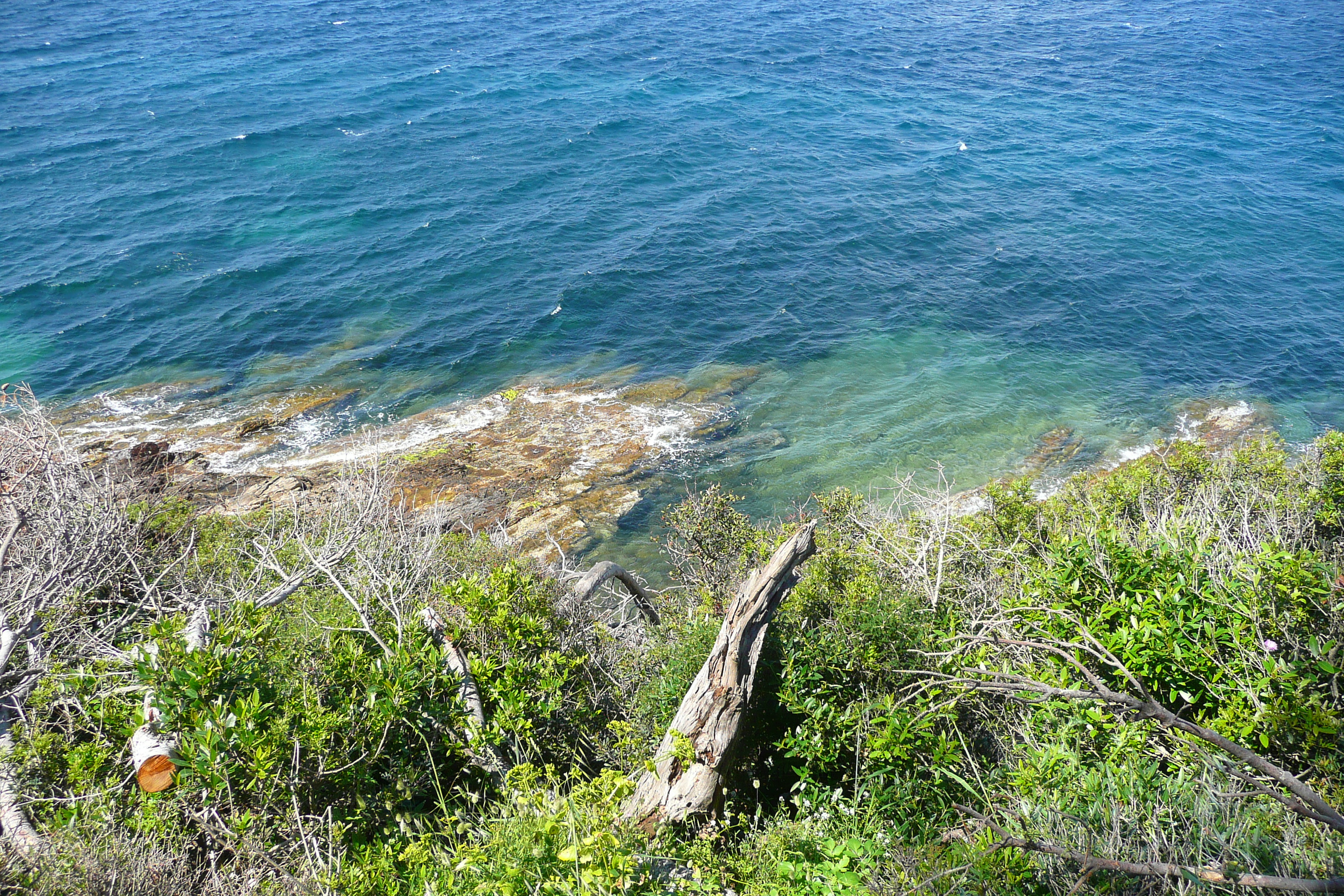รูปถ่าย ฝรั่งเศส(France) เกาะปอร์เกอรอล(Porquerolles Island) แหลมเลอแก็ง(Pointe du Lequin) 2008-05 53