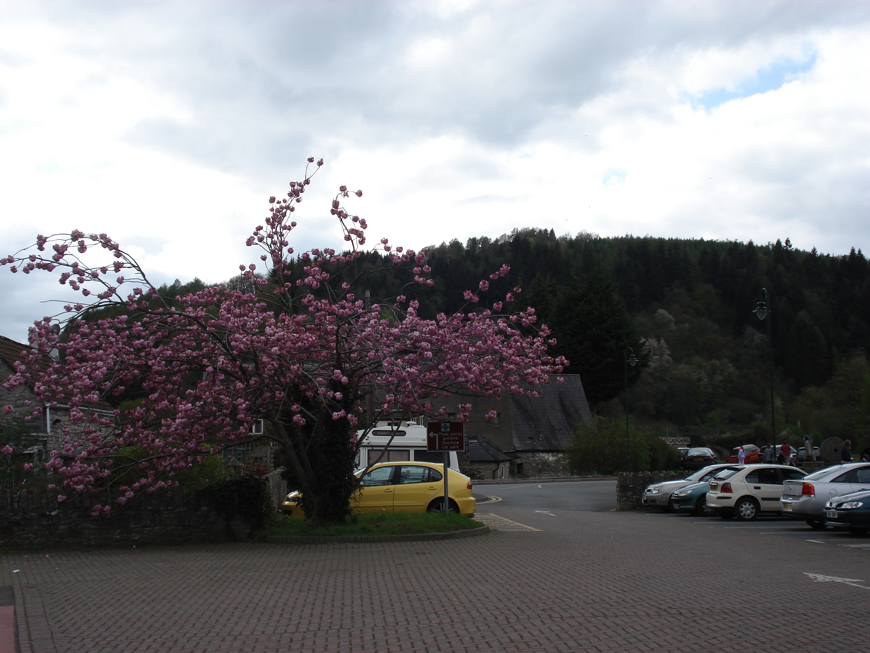 รูปถ่าย อังกฤษ(United Kingdom) ทินเทิร์น(Tintern) 2006-05 2