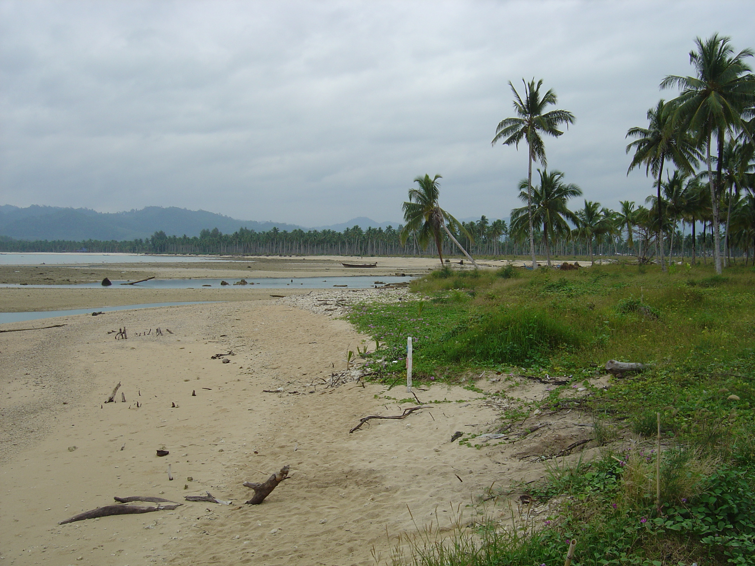 รูปถ่าย ไทย(Thailand) เขาหลัก(Khao Lak) 2005-12 40