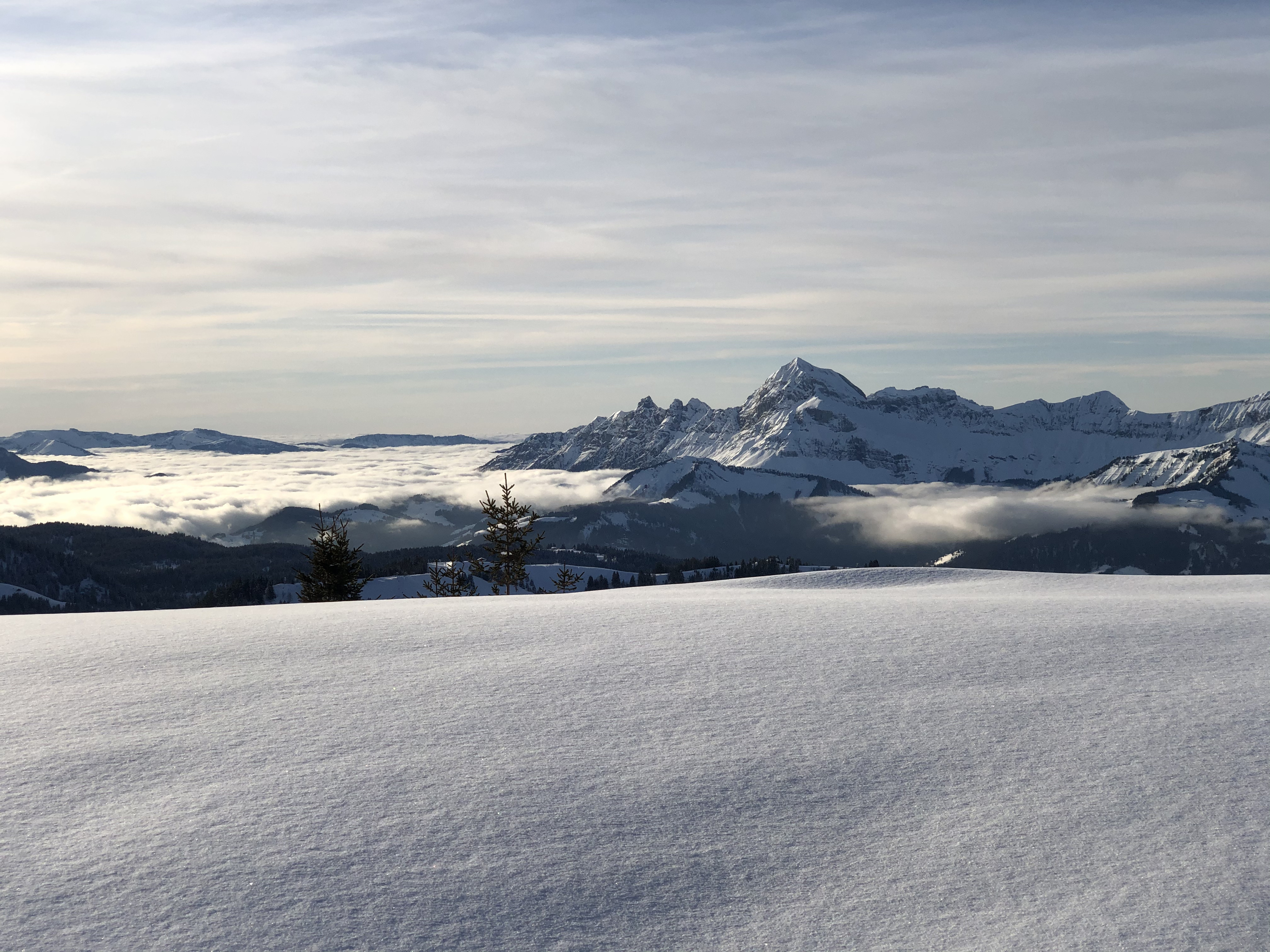 รูปถ่าย ฝรั่งเศส(France) ปรา-ซูร์-อาร์ลี(Praz sur Arly) 2019-12 390